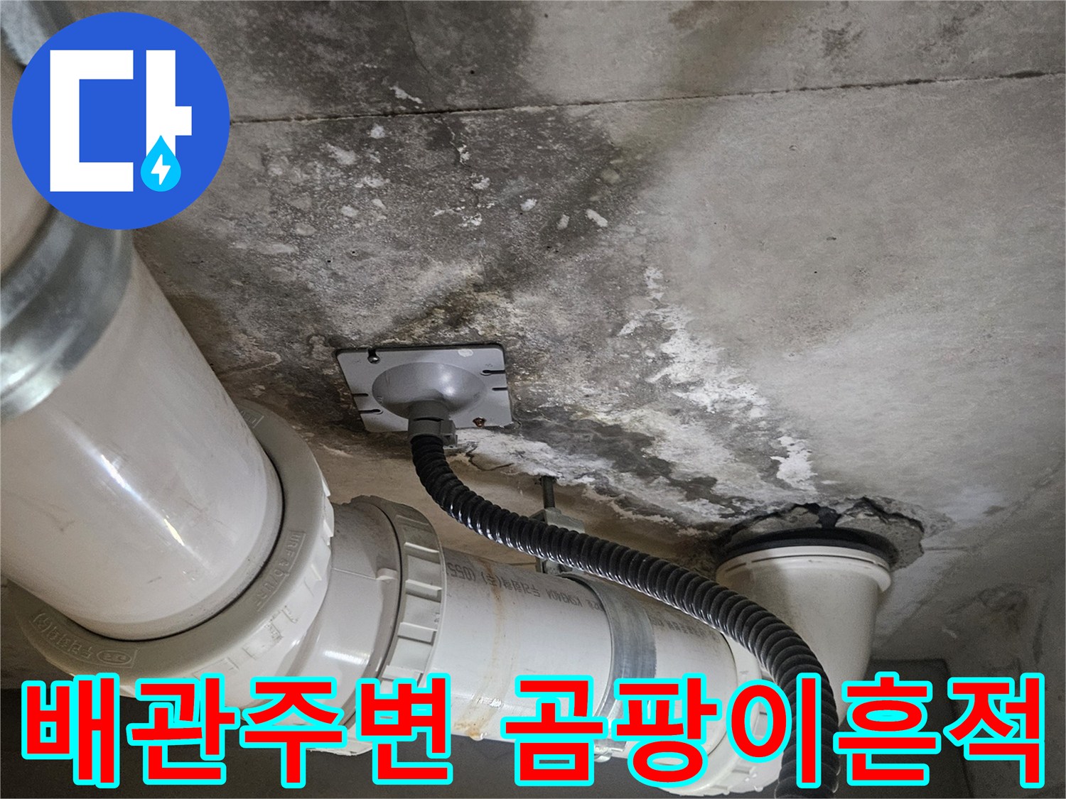 배관-연결부-및-콘크리트-벽면의-심한-물자국-현황