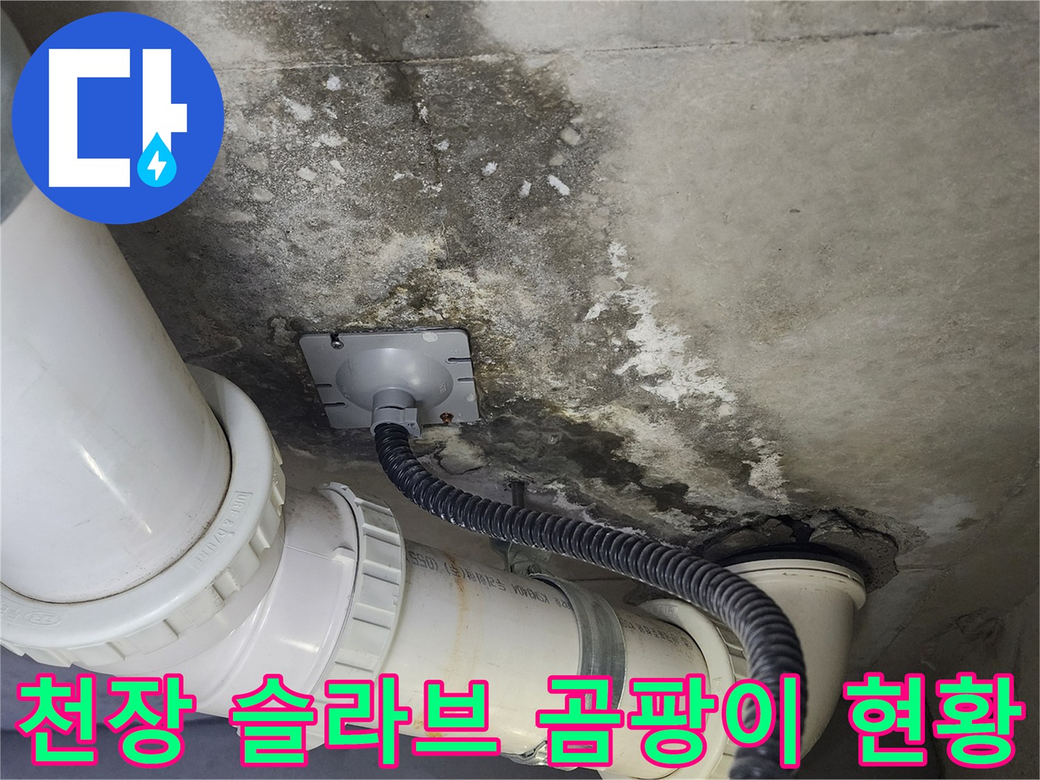 배관-주변에-퍼진-검은색-곰팡이와-습기