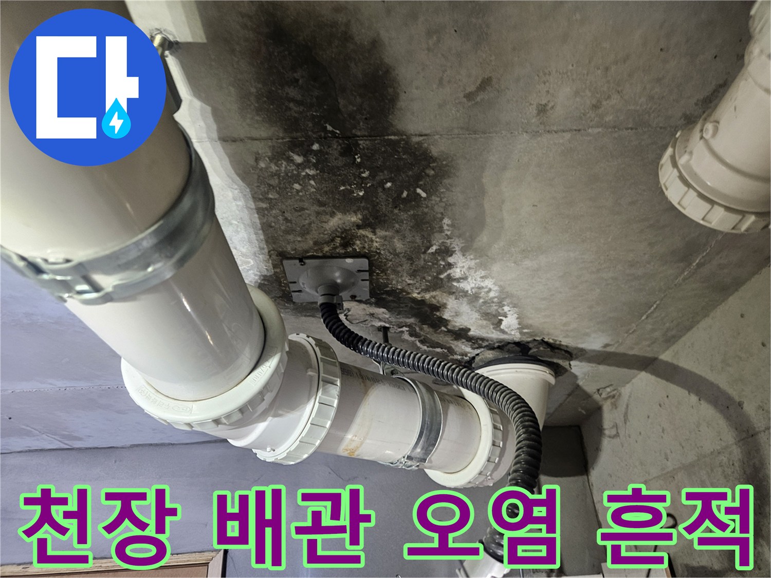 배관-주변의-짙은-물자국과-곰팡이-발생-상태