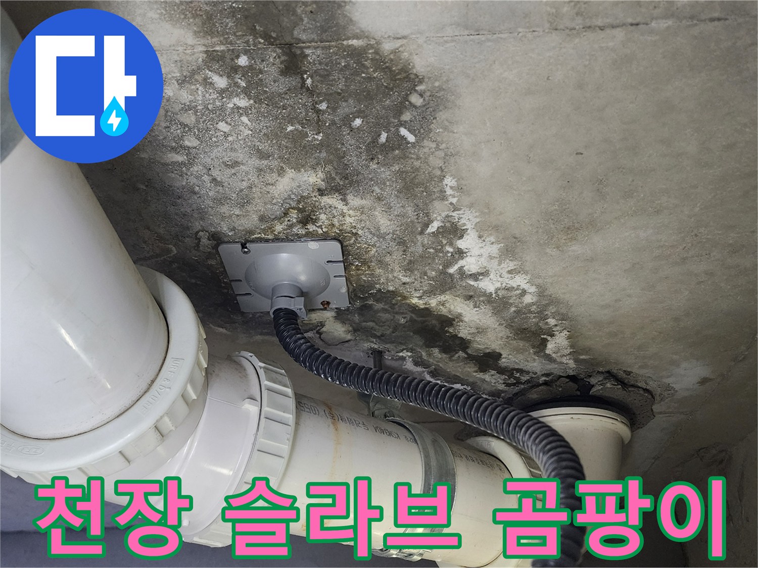 습기로 인해 변색된 화장실 천장 콘크리트 표면