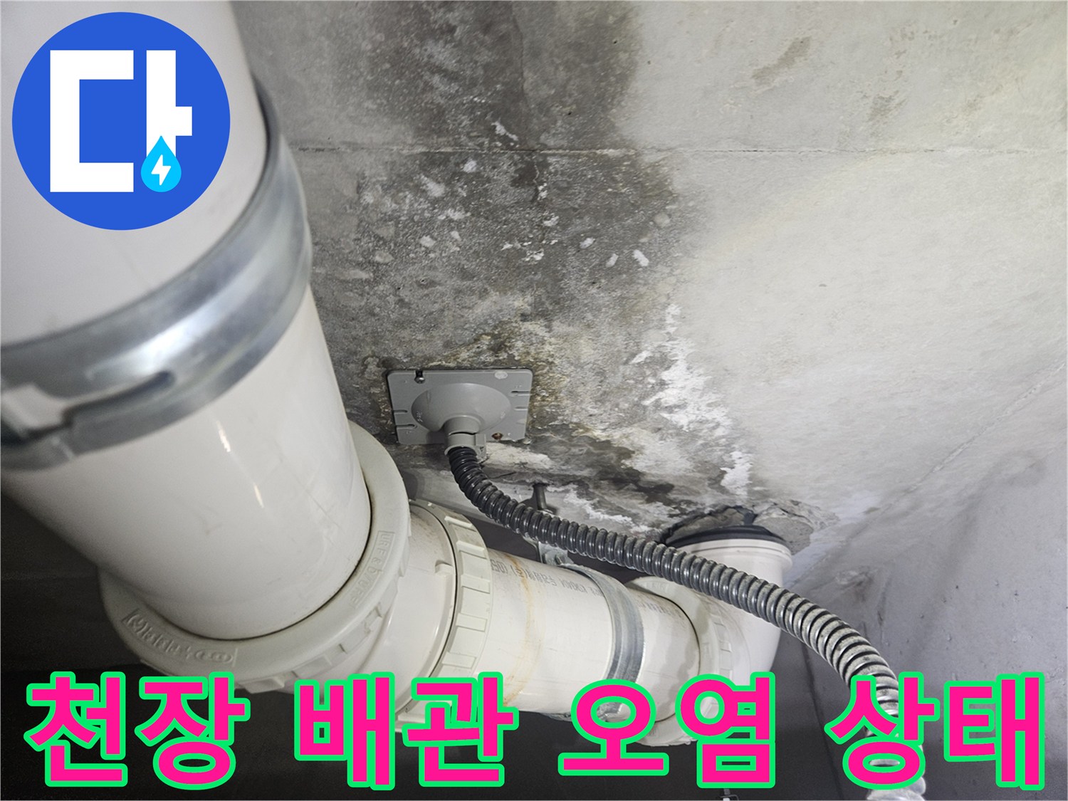 화장실-천장-배관-주변의-누수-흔적과-오염-현황