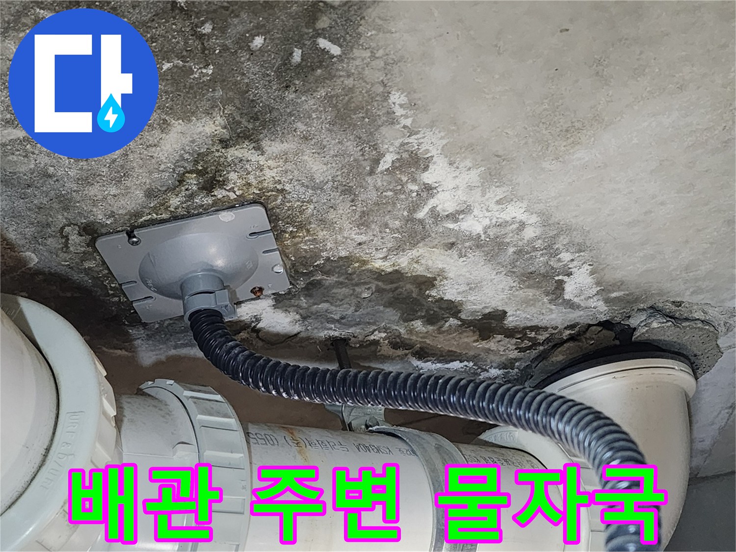 화장실-천장-배관-주변의-습기-및-오염-상태
