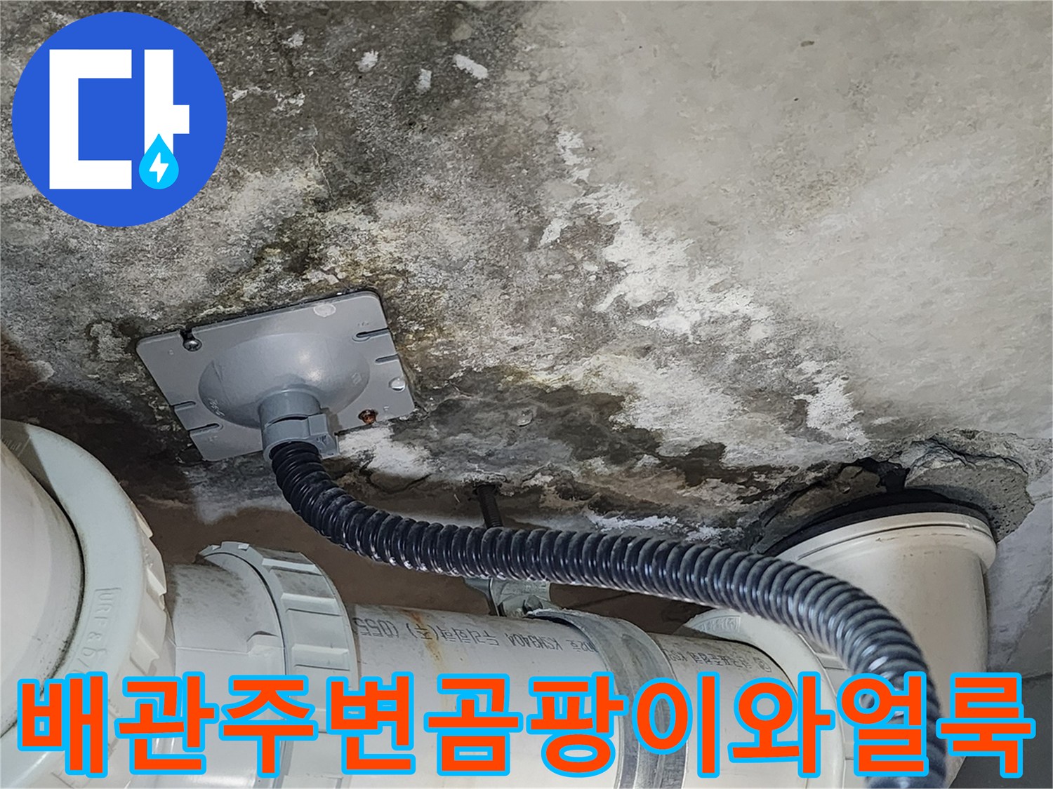 화장실 천장-배수관 주변의 곰팡이와 습기로 인한 콘크리트 오염 사진