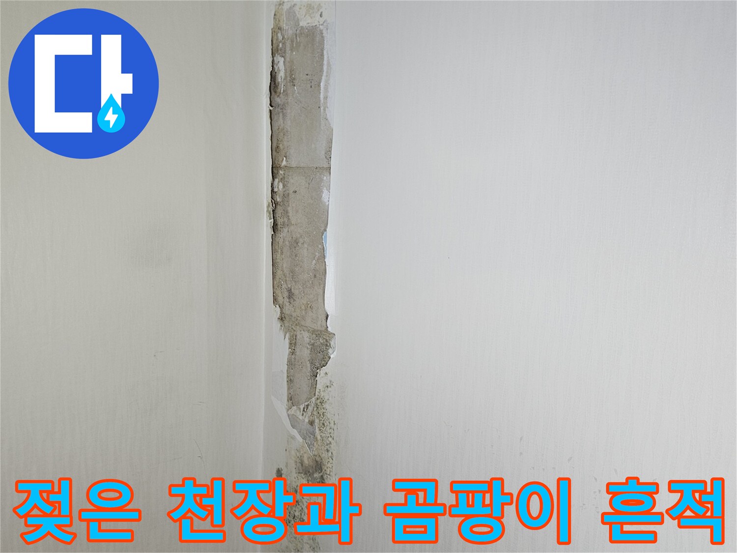 물샘-피해로-오염된-화장실-천장-벽면
