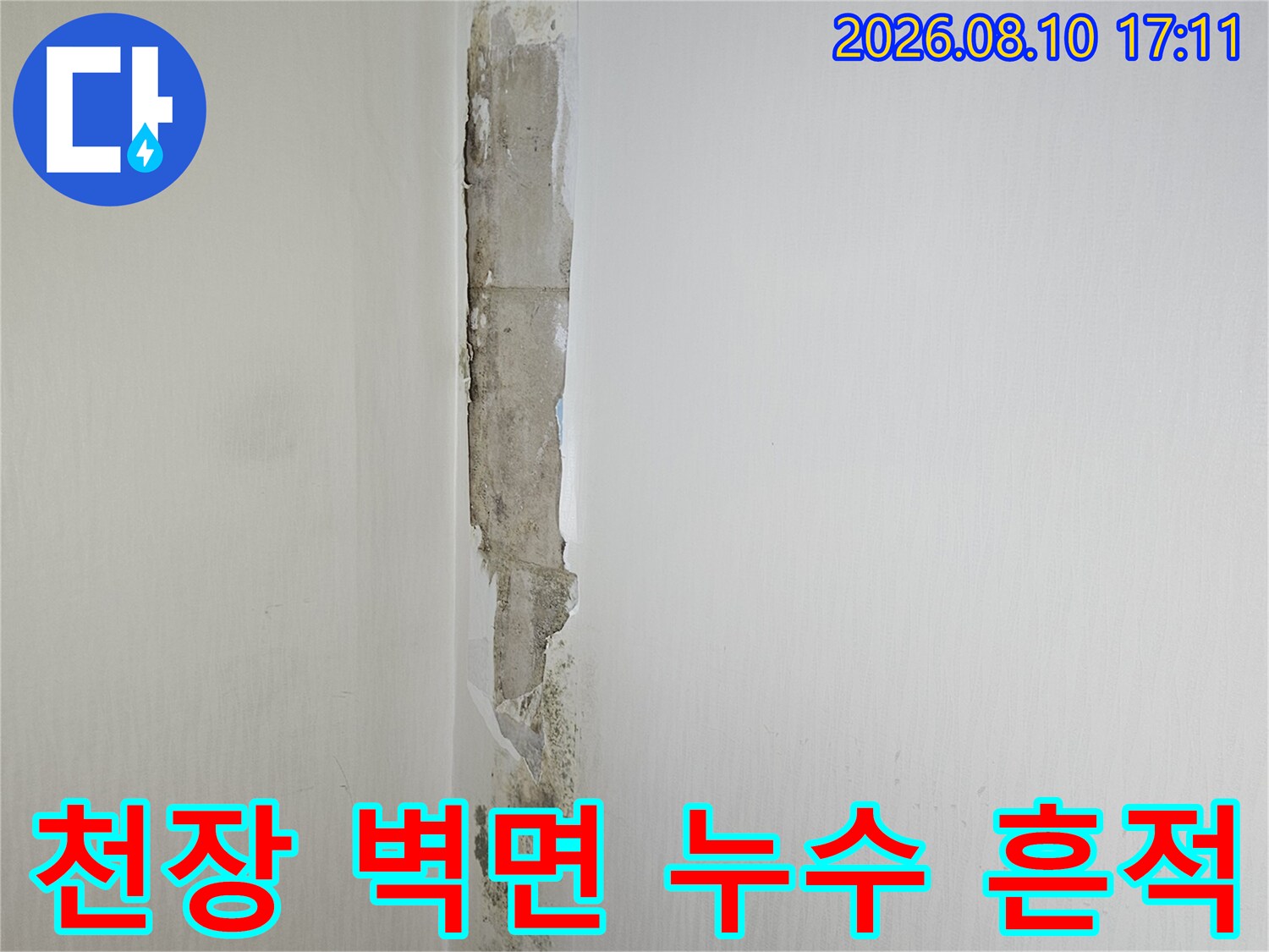 습기로 인해 변색되고 곰팡이가 발생한 천장 경계 부위의 모습