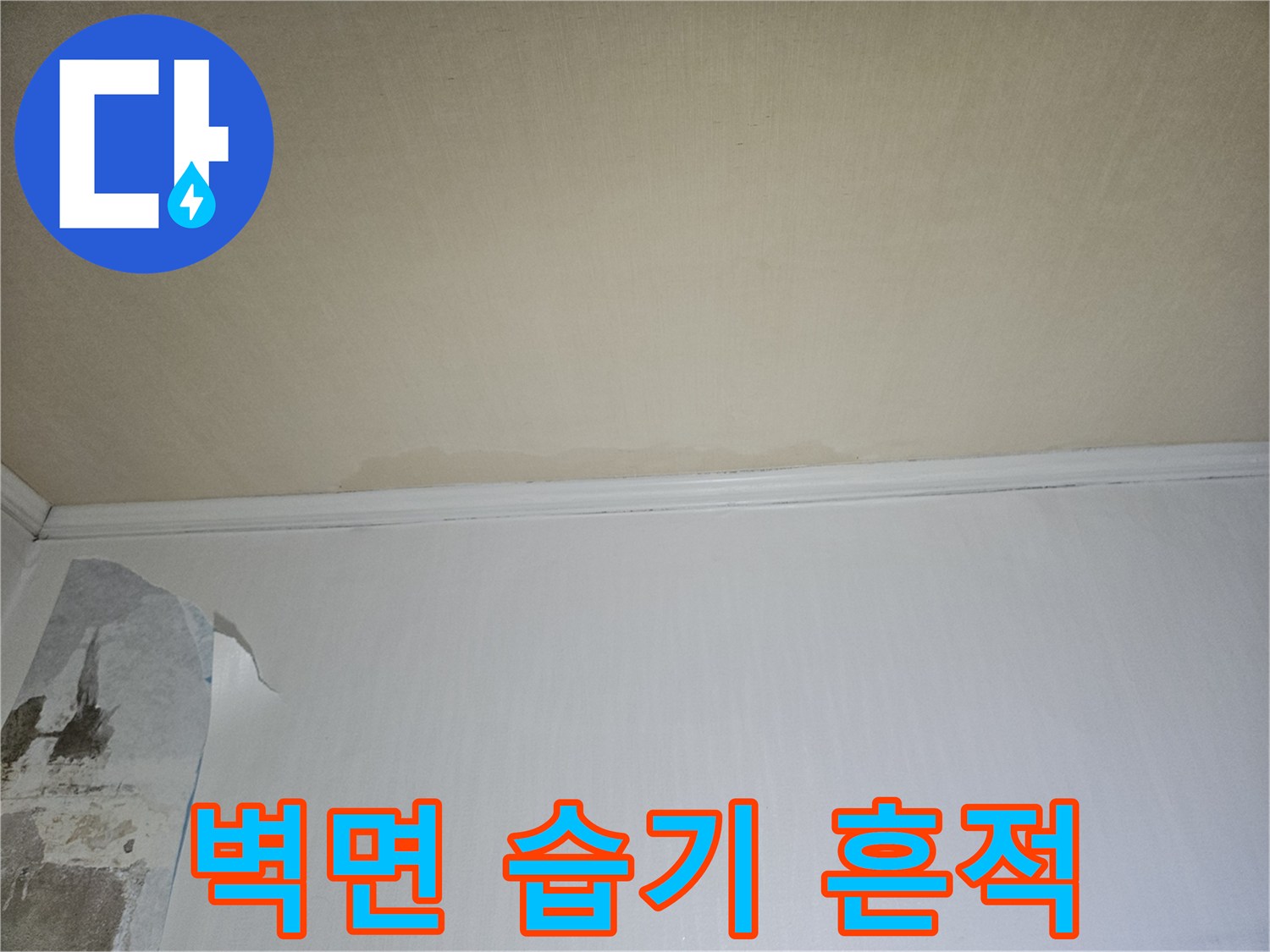 습기로 인해 변색된 벽면과 들뜬 도배지