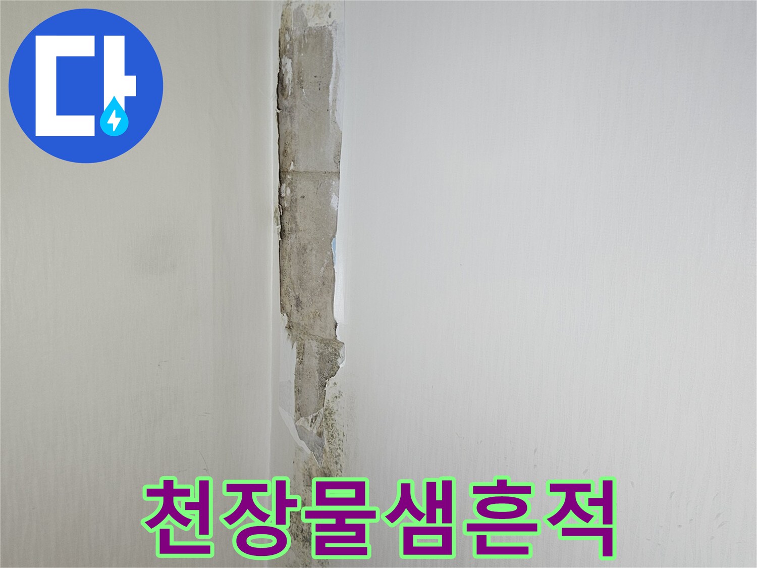 아파트-천장-벽면의-곰팡이와-누수-흔적
