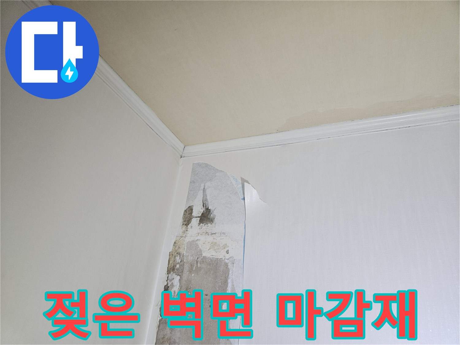 일산-백석동-아파트-벽면-누수-피해-상태