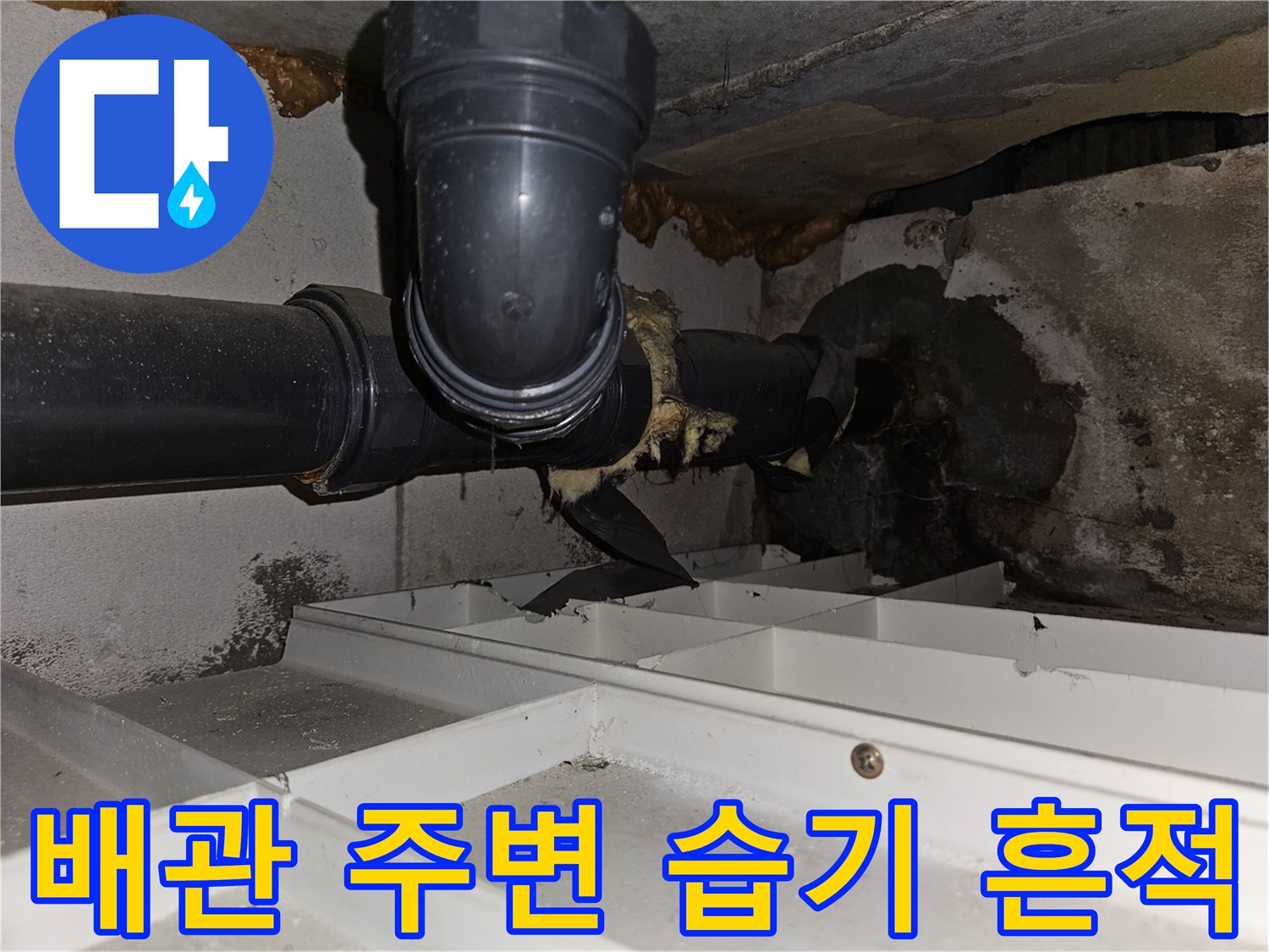 일산-백석동-아파트-천장-배관-주변-습기-및-곰팡이-흔적