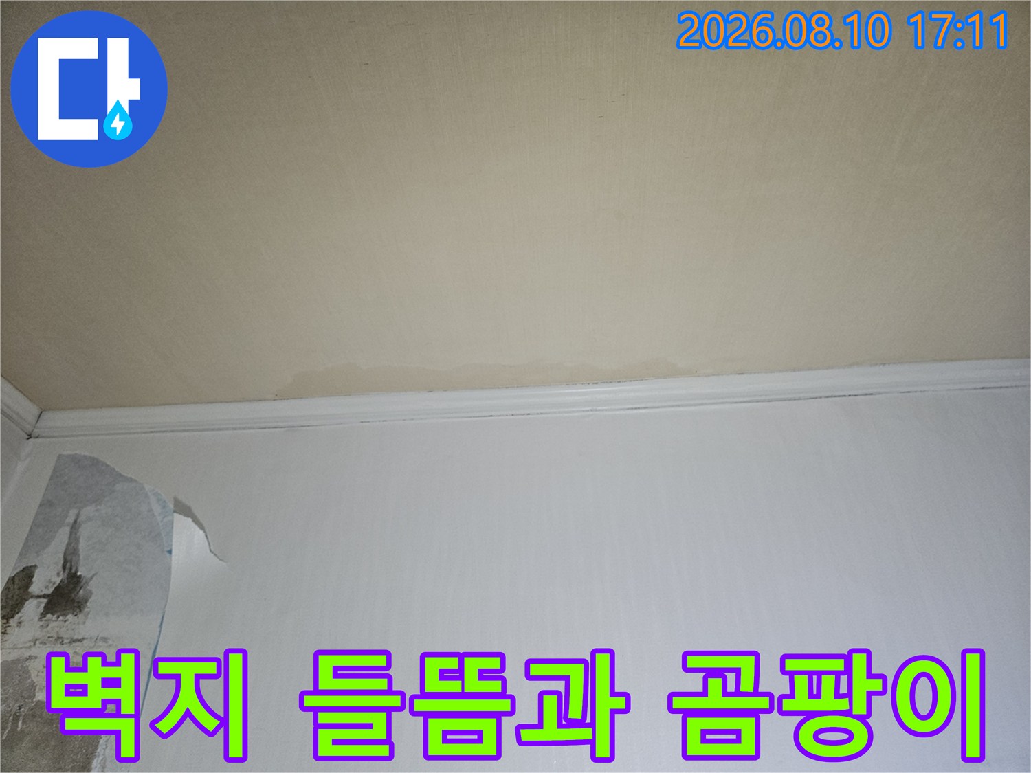 일산동구-아파트-벽지-들뜸-및-곰팡이-흔적-사진