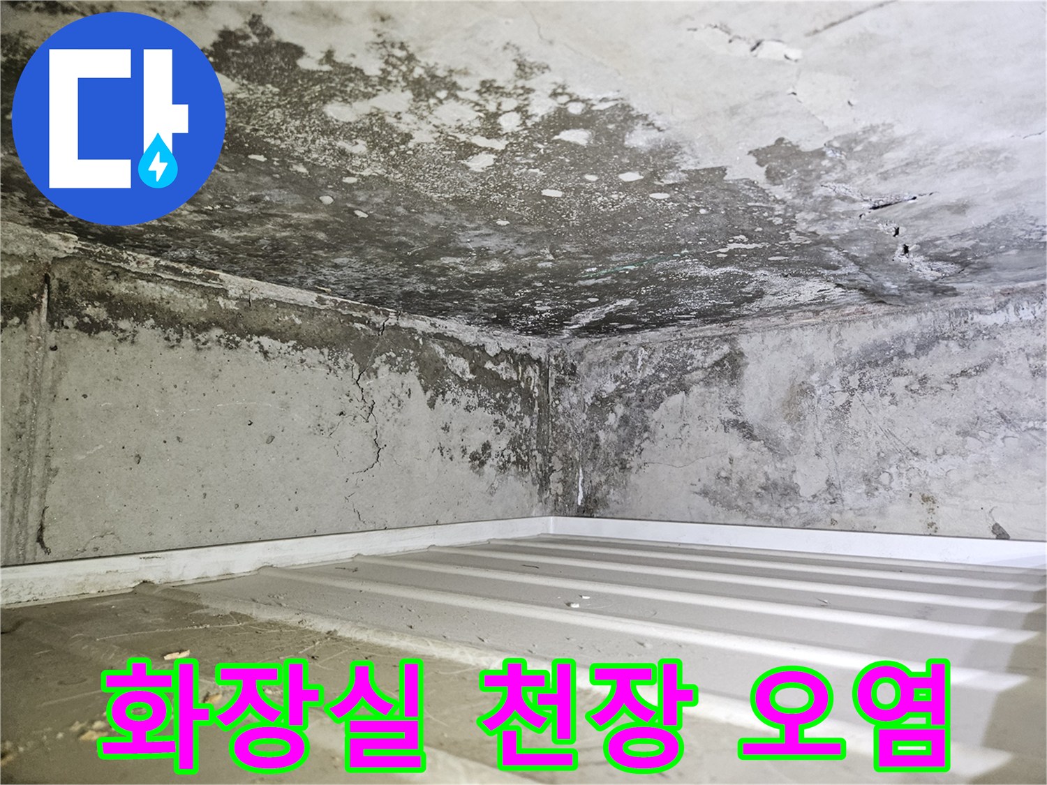 일산동구 아파트-화장실 천장 내부의 곰팡이와 습기 흔적
