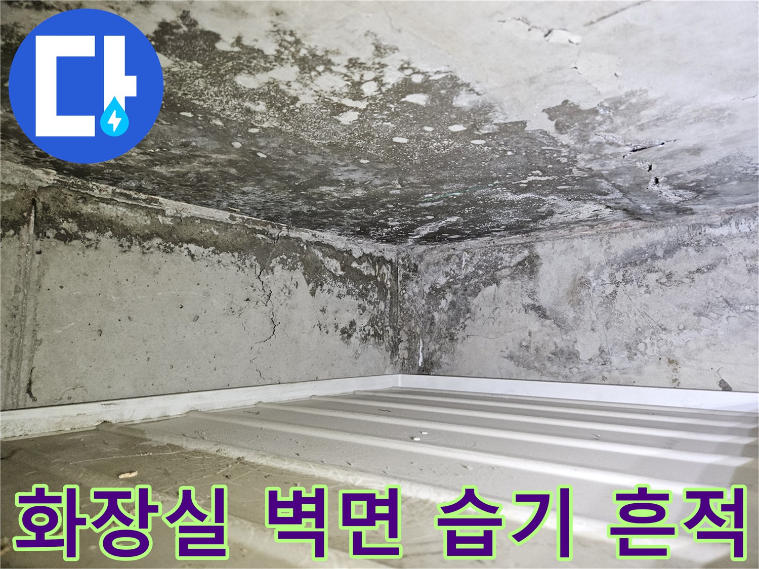 일산동구-화장실-천장-및-벽면-습기-상태