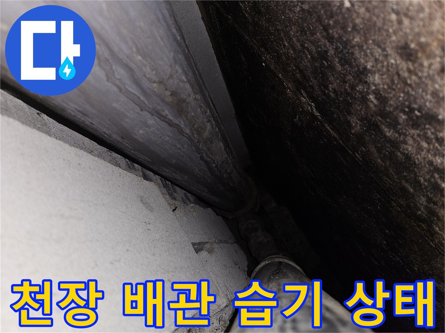 화장실-천장-내부-배관-주변의-습기-및-물샘-흔적