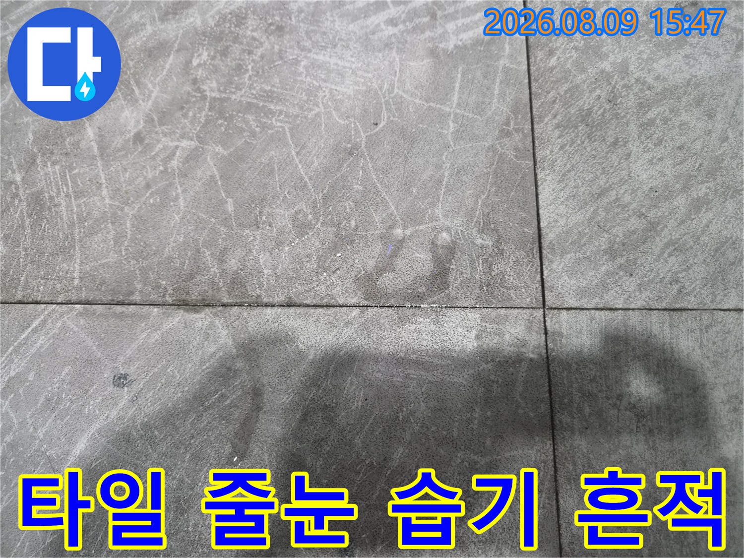 식당 바닥 타일-줄눈 사이의 물기 및 균열 상태 관찰