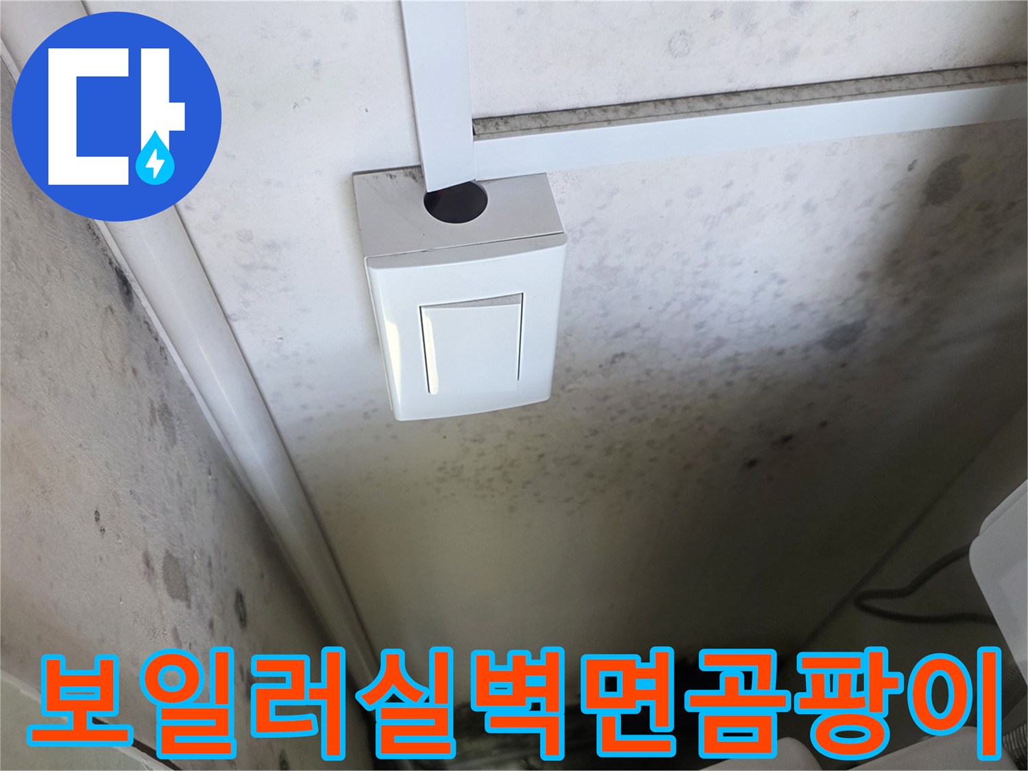 배관-주변에-번져있는-검은색-곰팡이와-습기-흔적