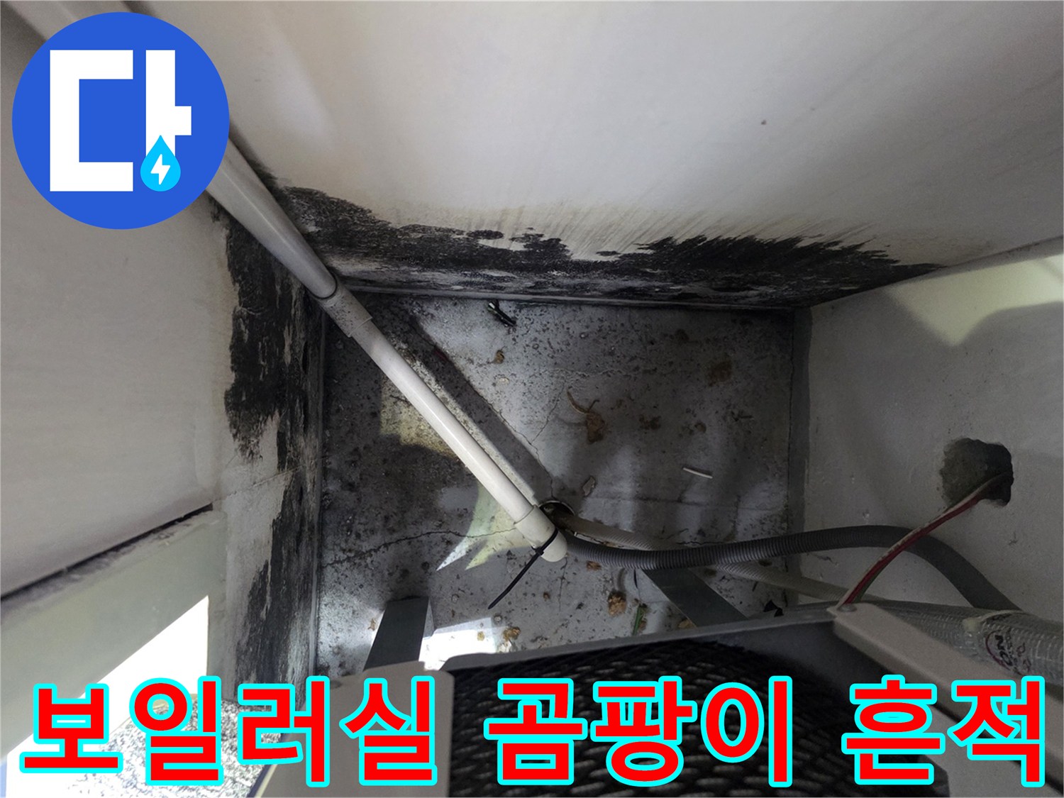 인천 운서동 보일러실 천장 부근에 나타난 검은색 곰팡이와 습기 자국