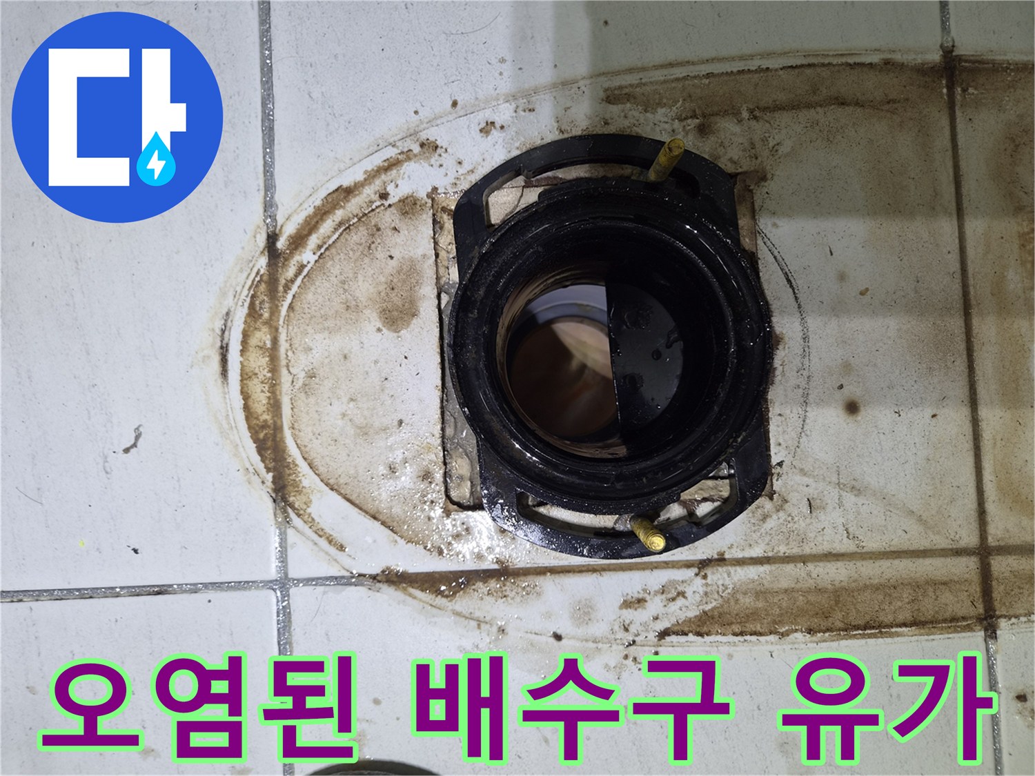 배수구 주변의 오염과 타일 틈새 침투 흔적