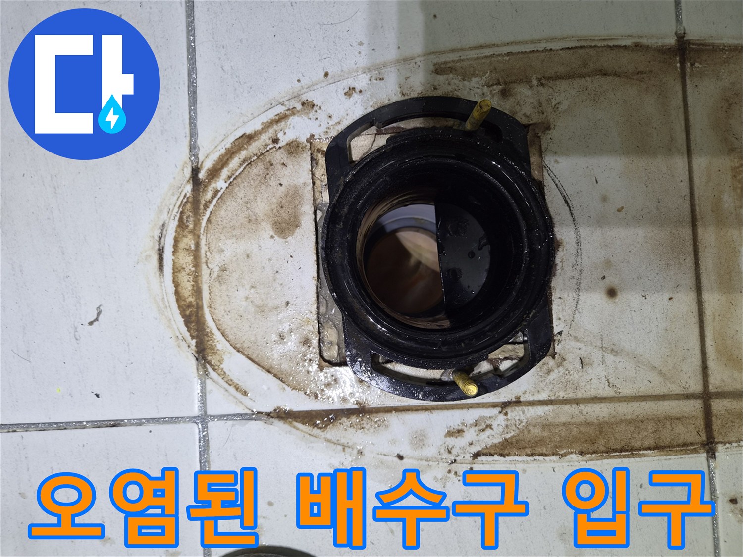 화성 향남 현장-배수 트랩 주변의 심한 오염과 침수 흔적
