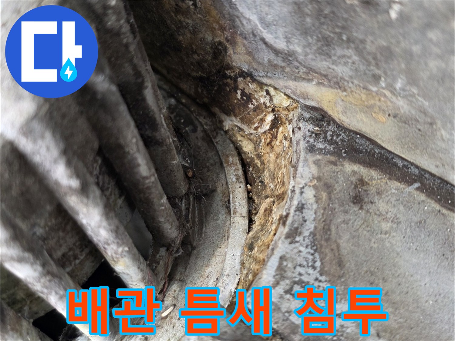 배관-주변-틈새로의-물-침투-현상-확인