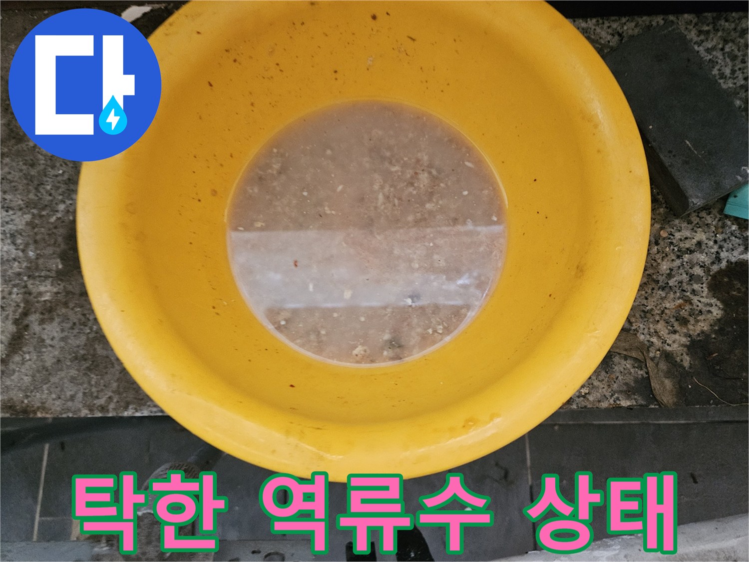 노란색 대야에 담긴 이물질이 섞인 탁한 하수 오염수