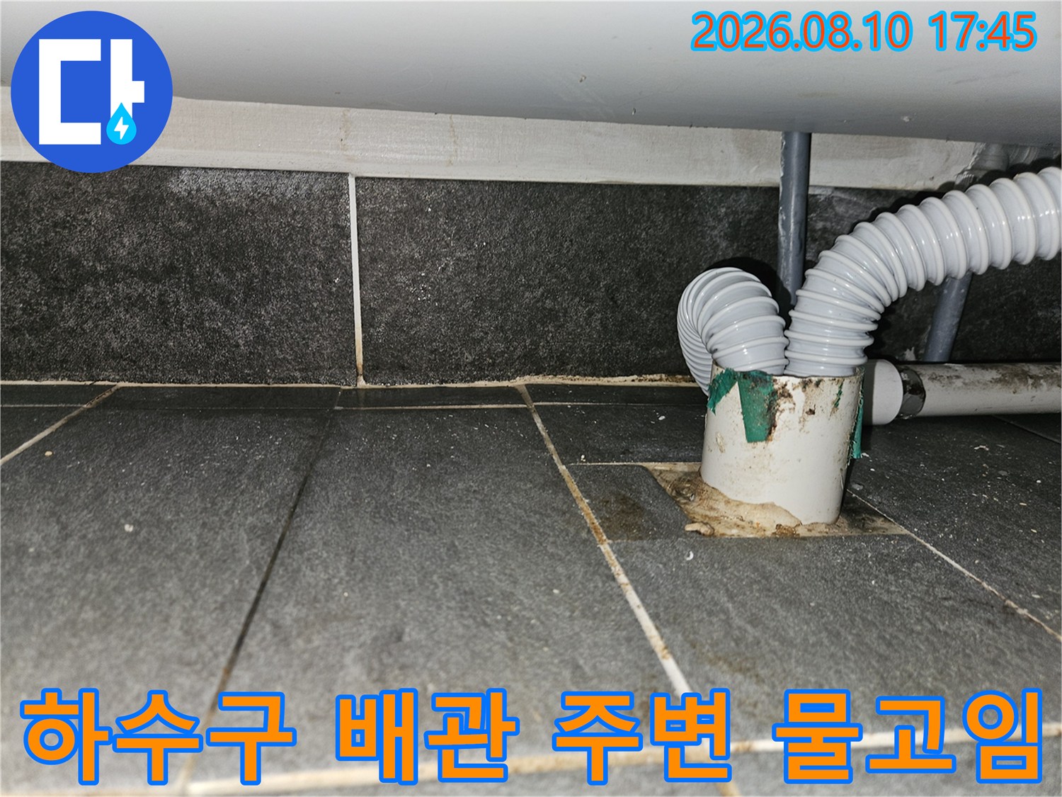 주안동 누수 현장-배수구 주변 타일 사이의 습기와 물 고임 상태