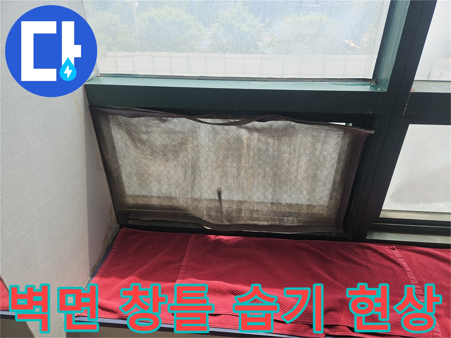 주안동-상가-창문-프레임-주변-젖은-벽면