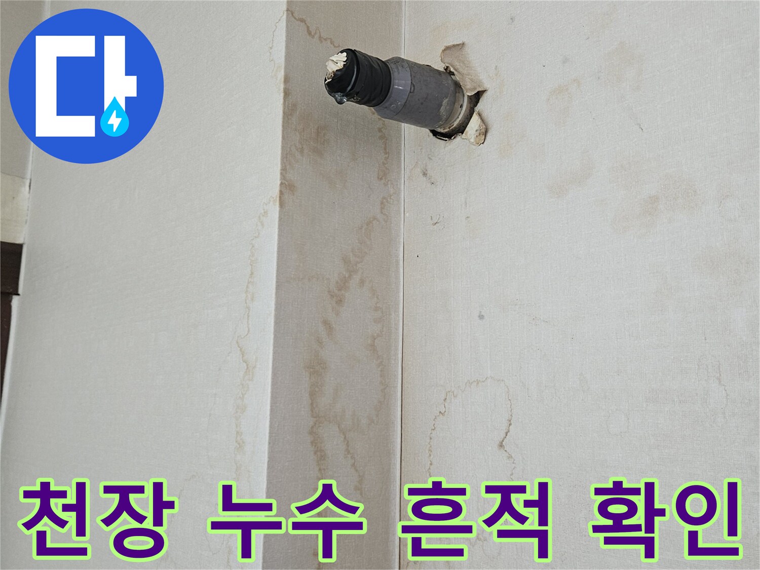하수 배관 주변에 나타난 넓은 범위의 천장 변색 부위