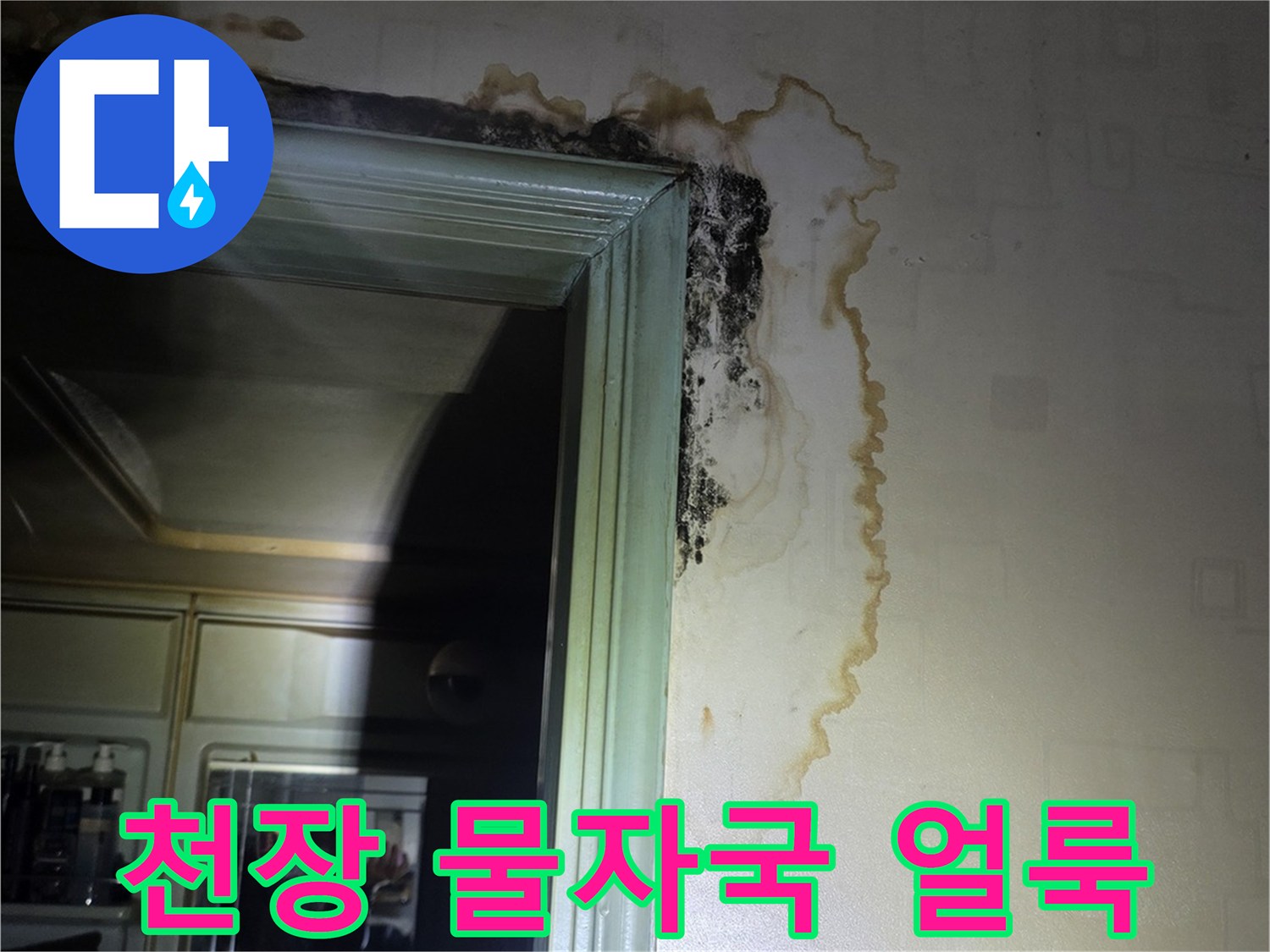 구리 인창동 아파트-욕실 입구 천장의 젖은 얼룩과 곰팡이 상태