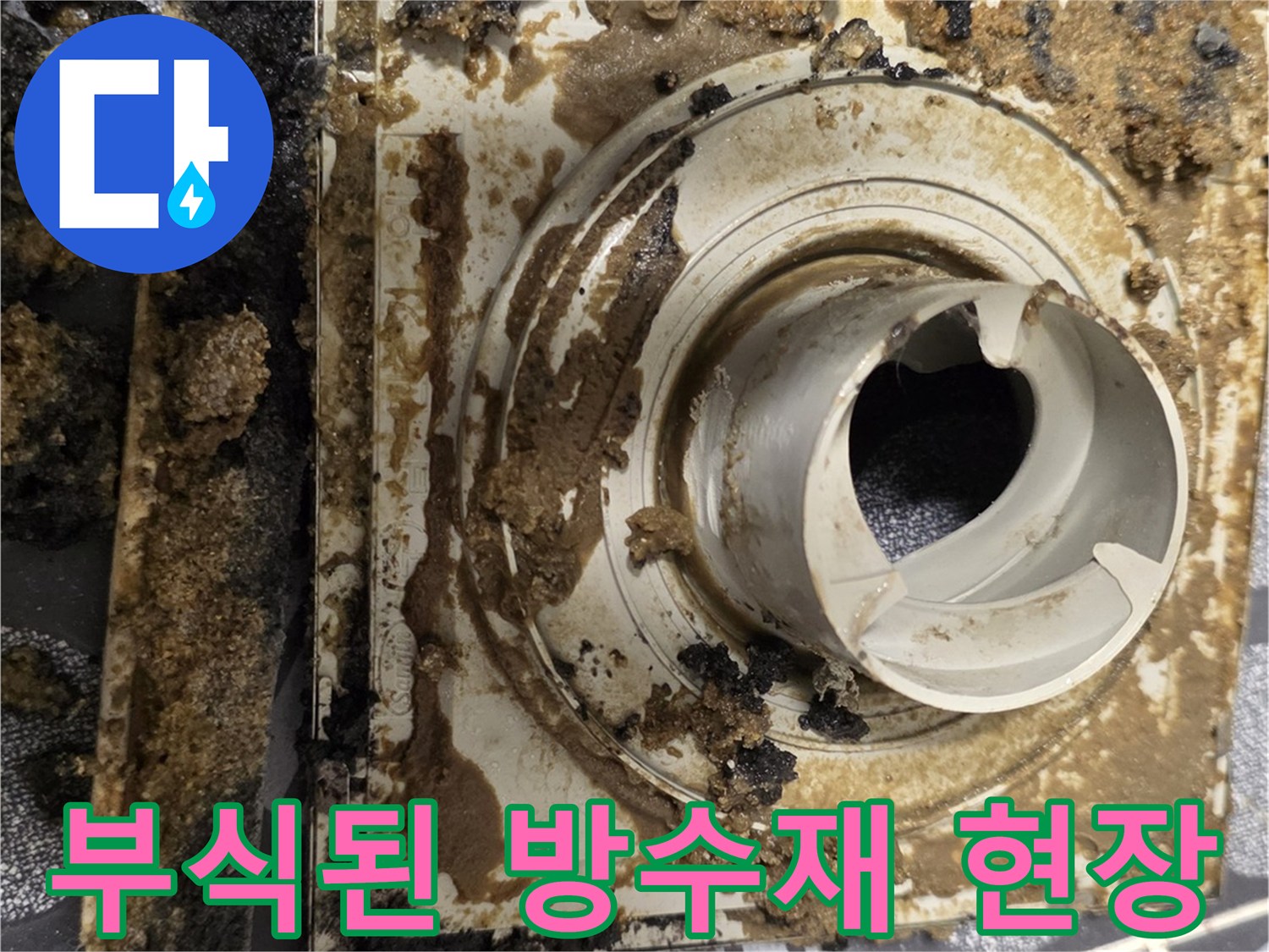 유가-주변의-심한-부식과-이물질로-오염된-방수층