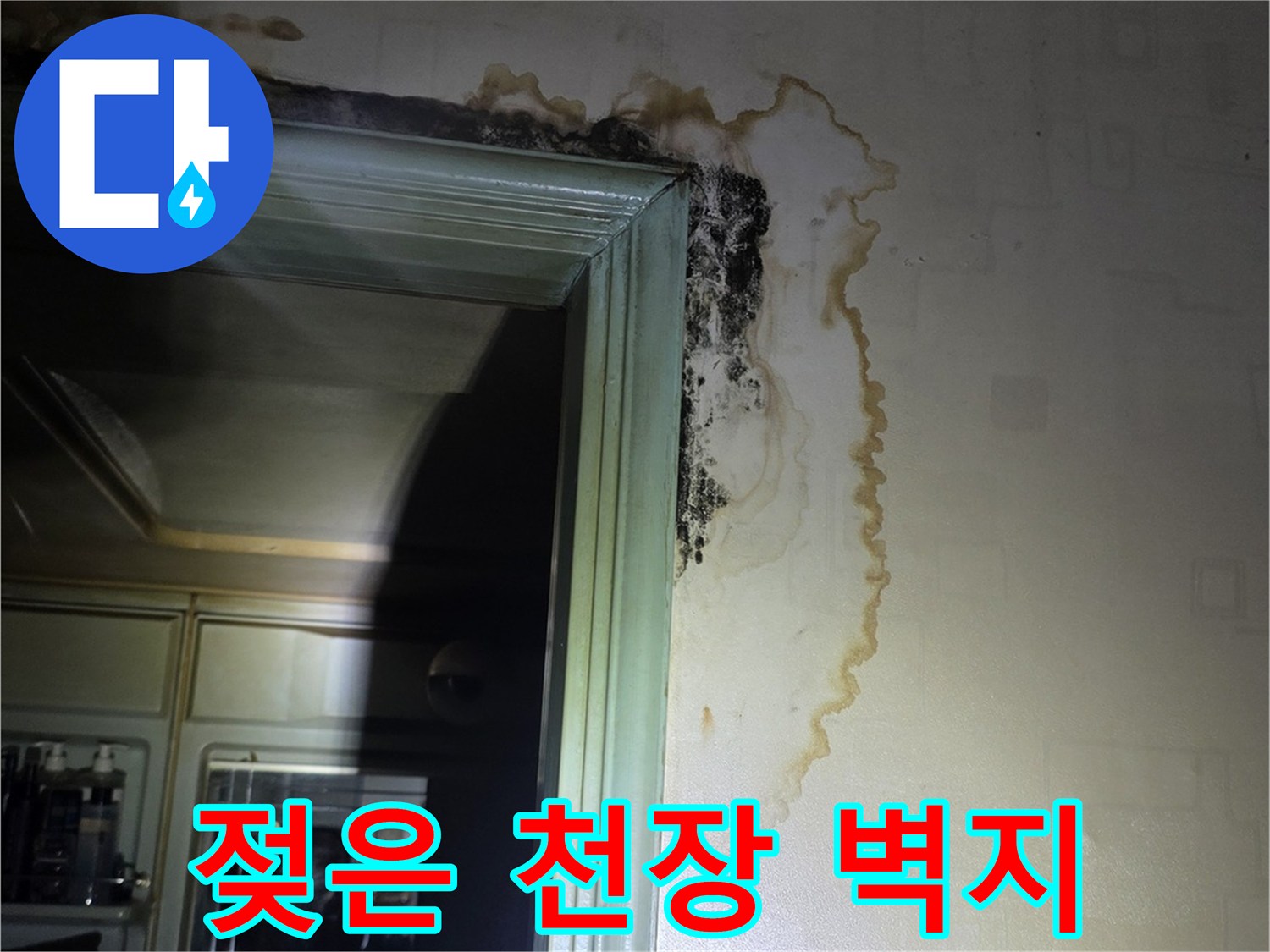 천장 및 문틀 부근-물샘으로 인한 변색과 곰팡이 발생