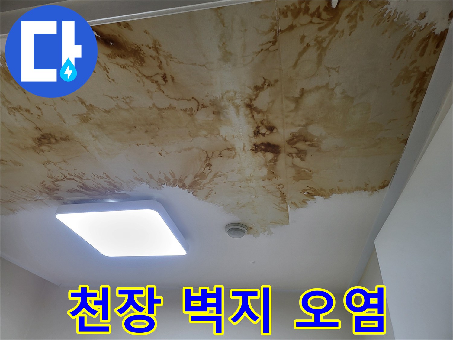 상월곡동 현장-누수로 변색된 천장 벽지