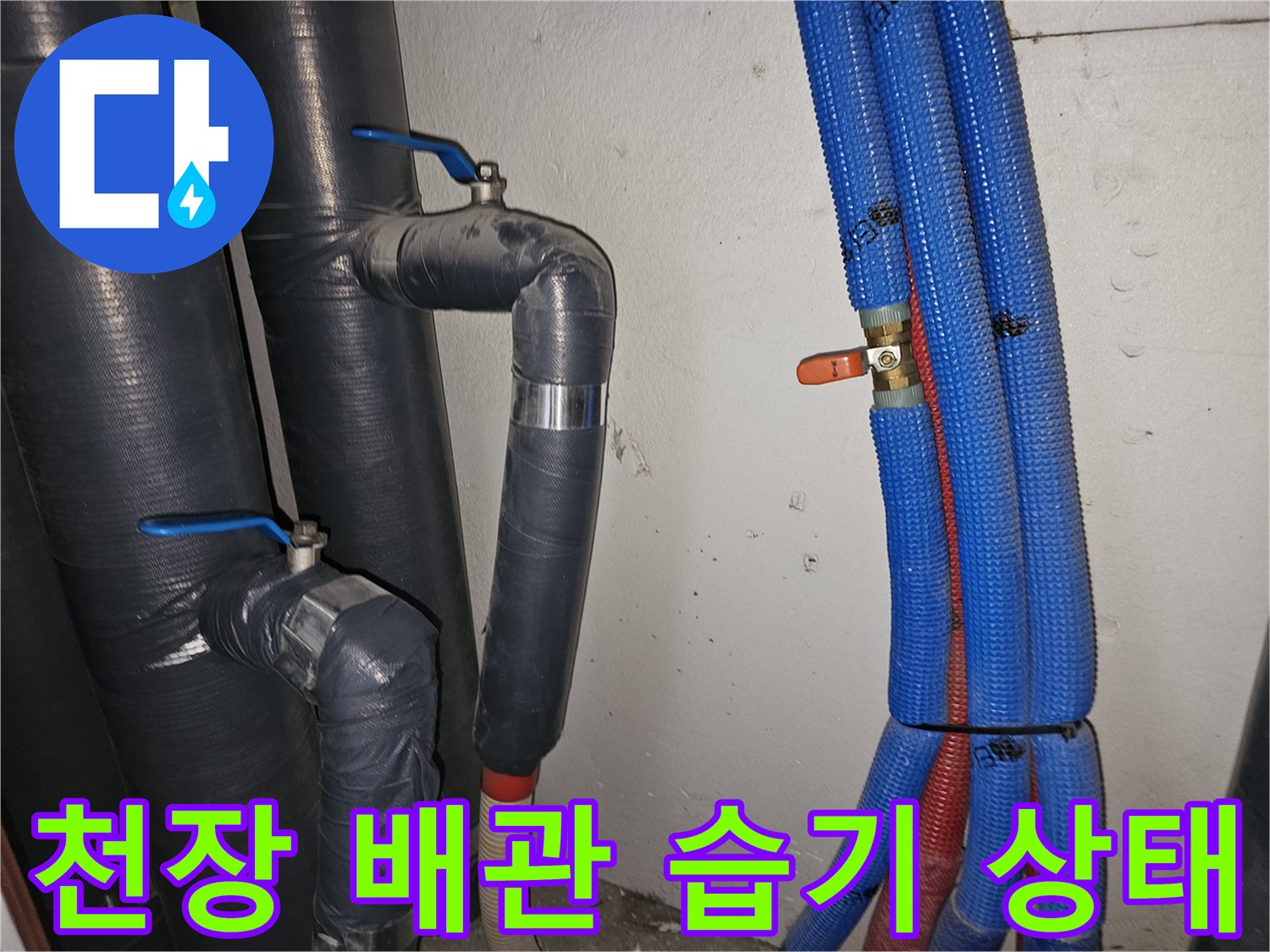 아파트-천장-내부-배관-주변-습기-확인