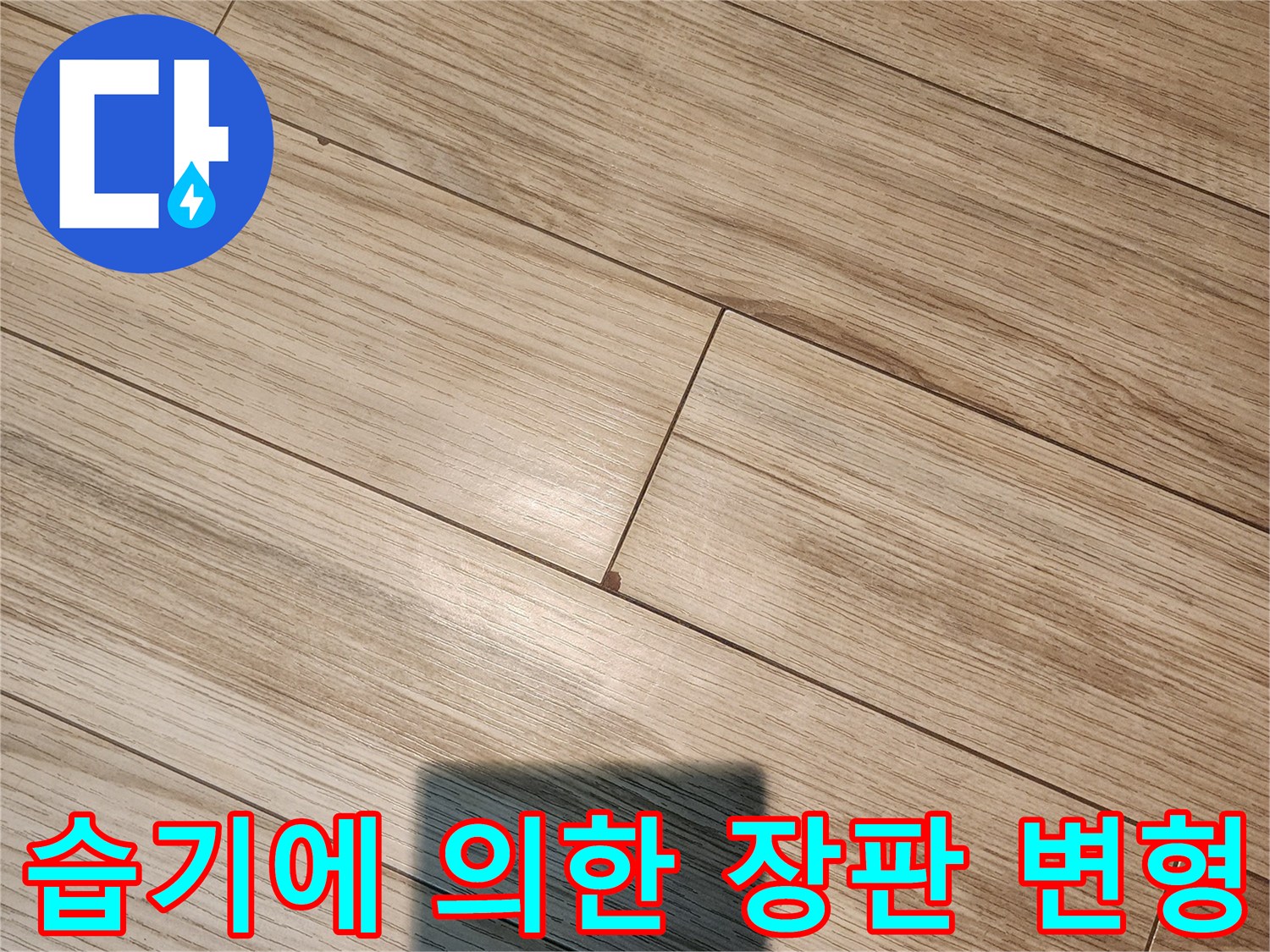누수로 인해 부풀어 오른 현관 마루의 상태