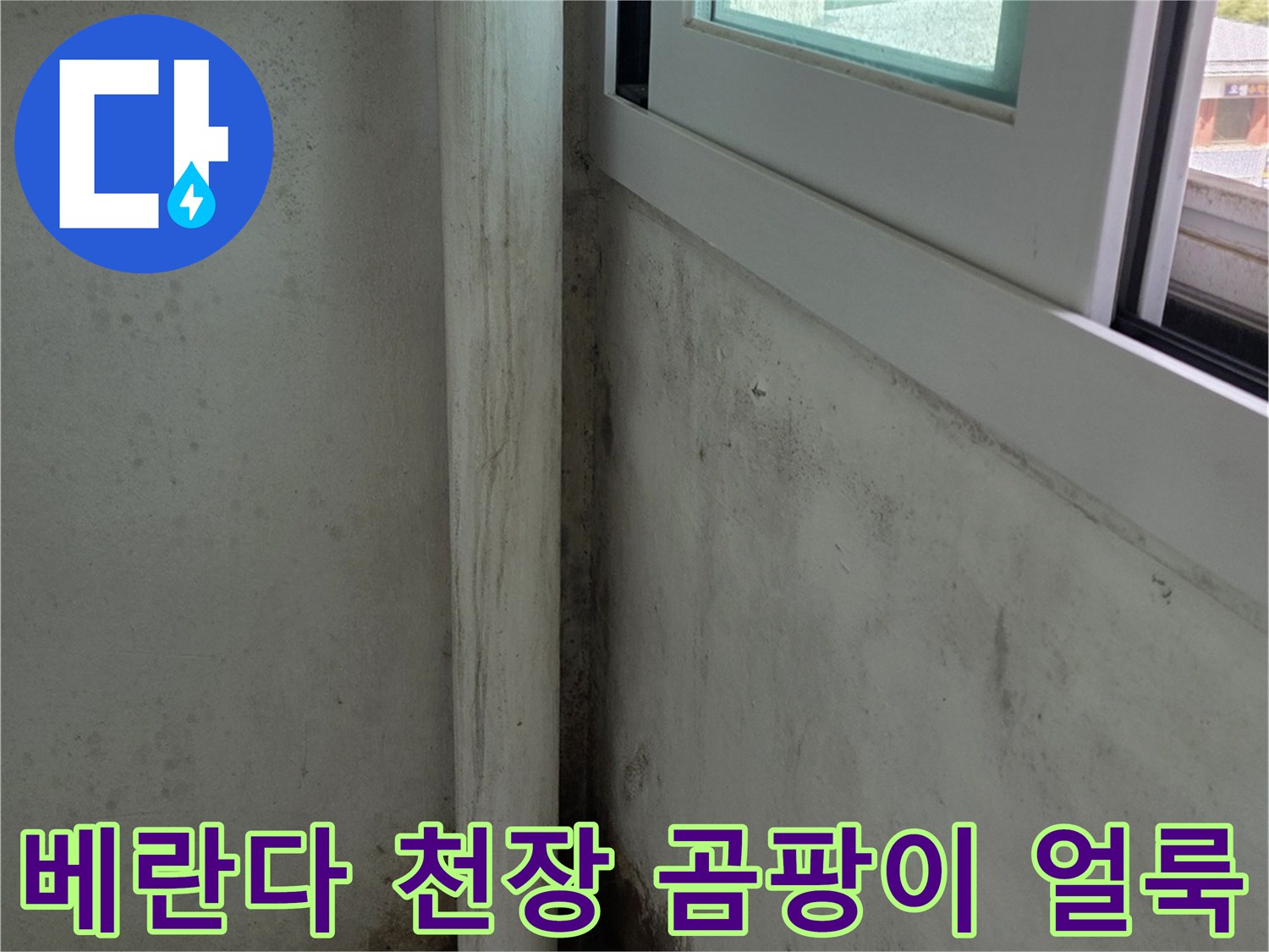 베란다-천장-표면에-검은색-곰팡이가-넓게-퍼져있는-모습