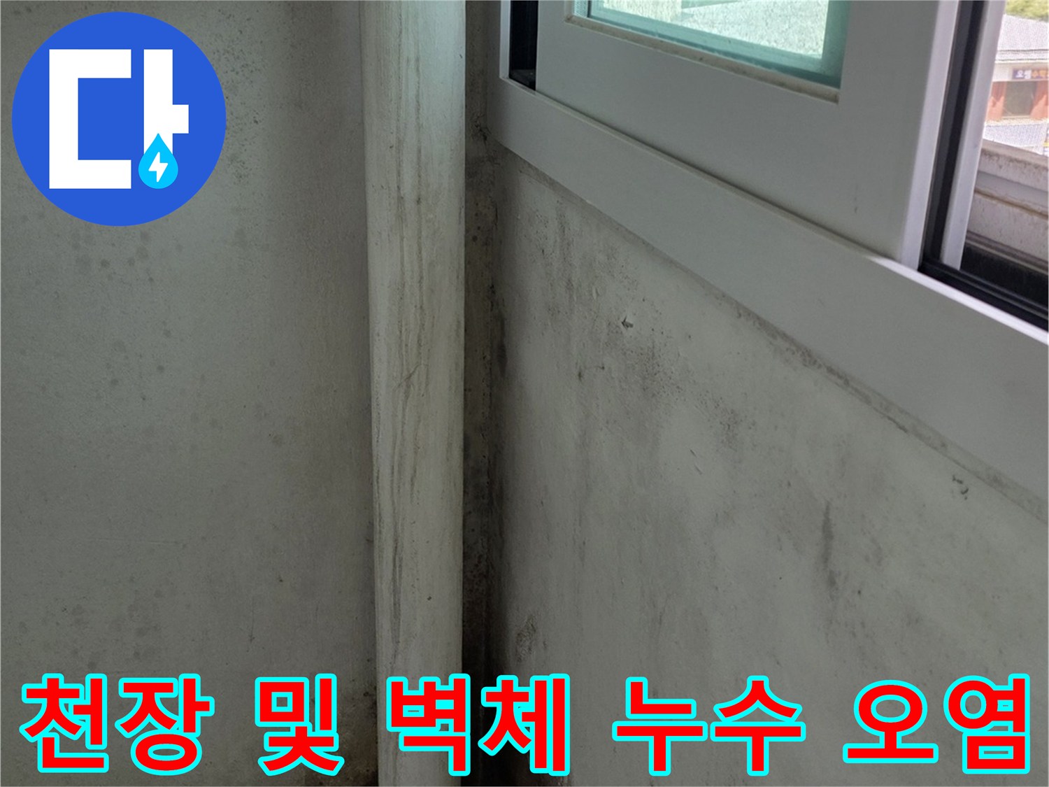 베란다-천장의 회색 마감재 위로 번진 누수 얼룩과 하단 배관 주변의 곰팡이