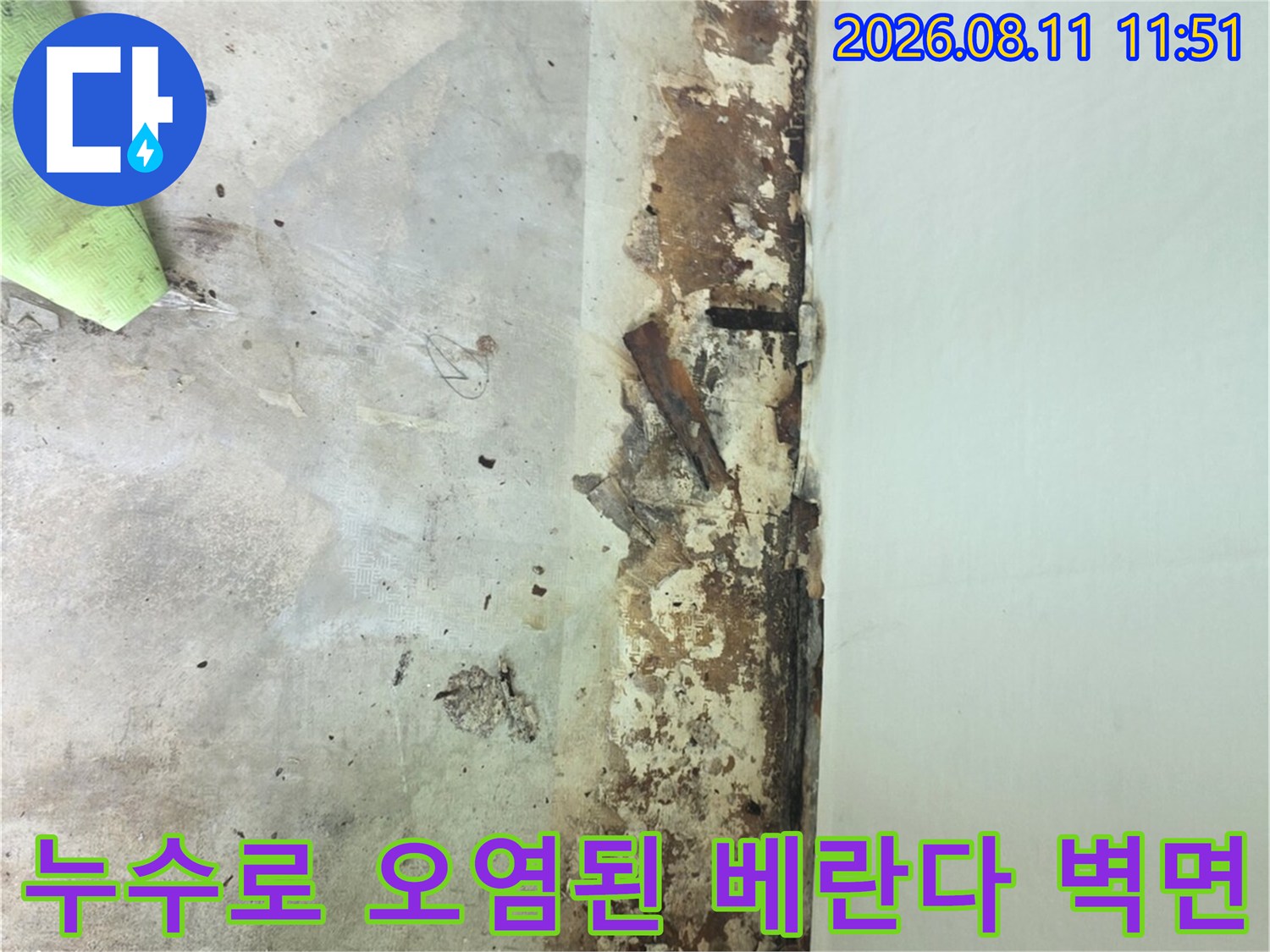 분당 정자동 아파트 베란다의 누수 피해 및 곰<0xAE>팡이 발생 부위