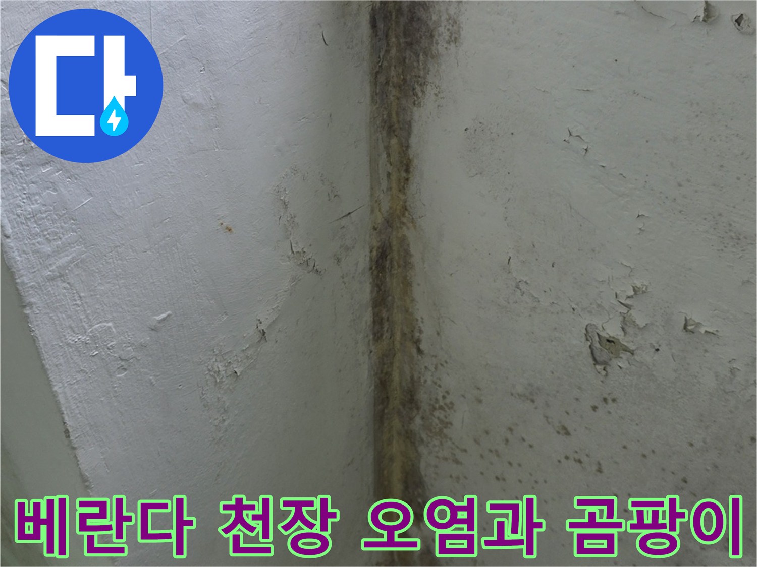 분당구-정자동-아파트-베란다-천장의-심한-곰팡이와-물샘-흔적