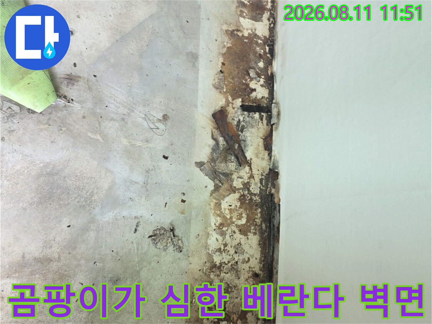 습기로 인해 곰팡이가 발생하고 페인트가 벗겨진 벽면 사진입니다.