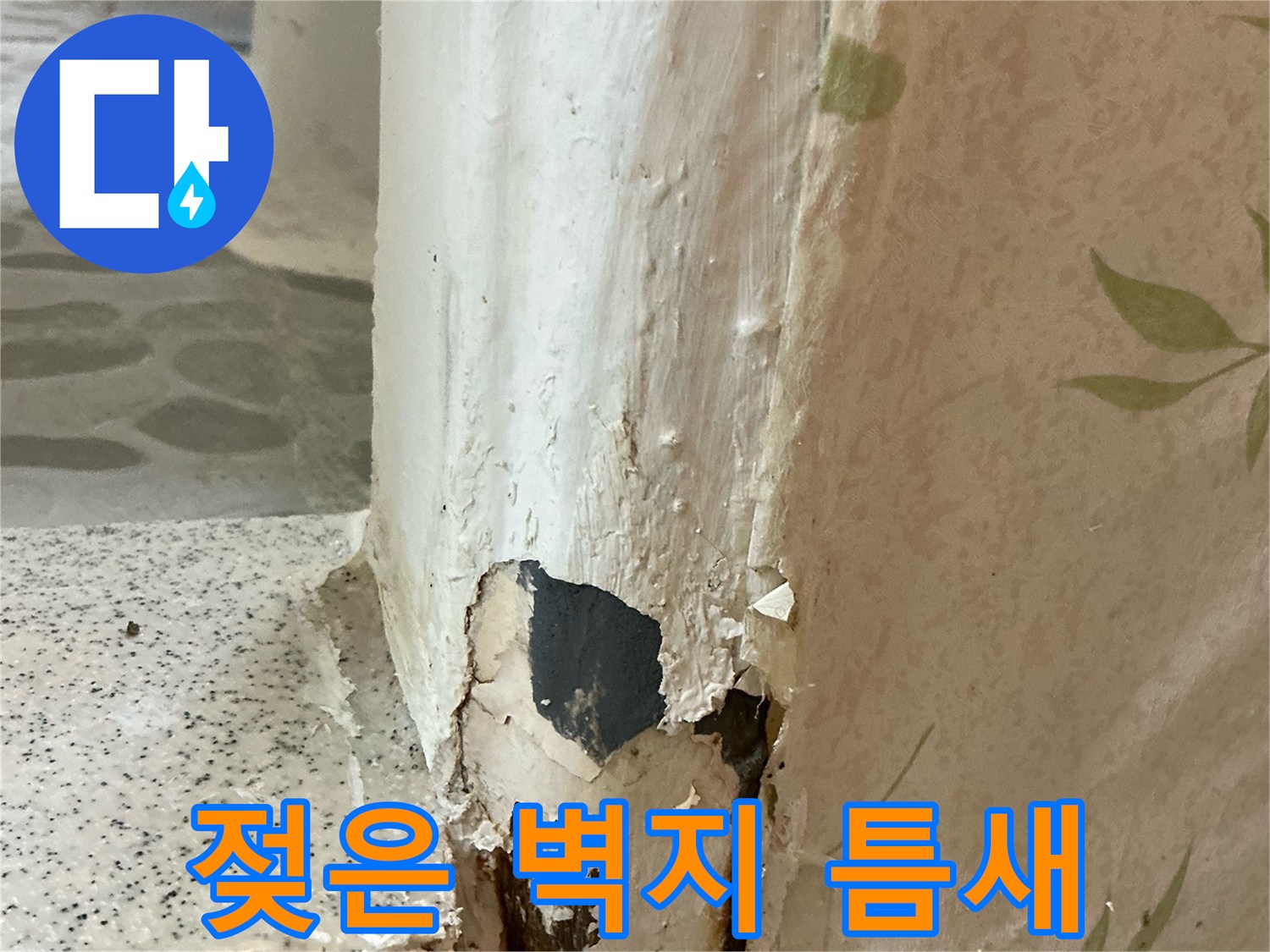 화장실-문틀-하부-벽지-훼손-상태