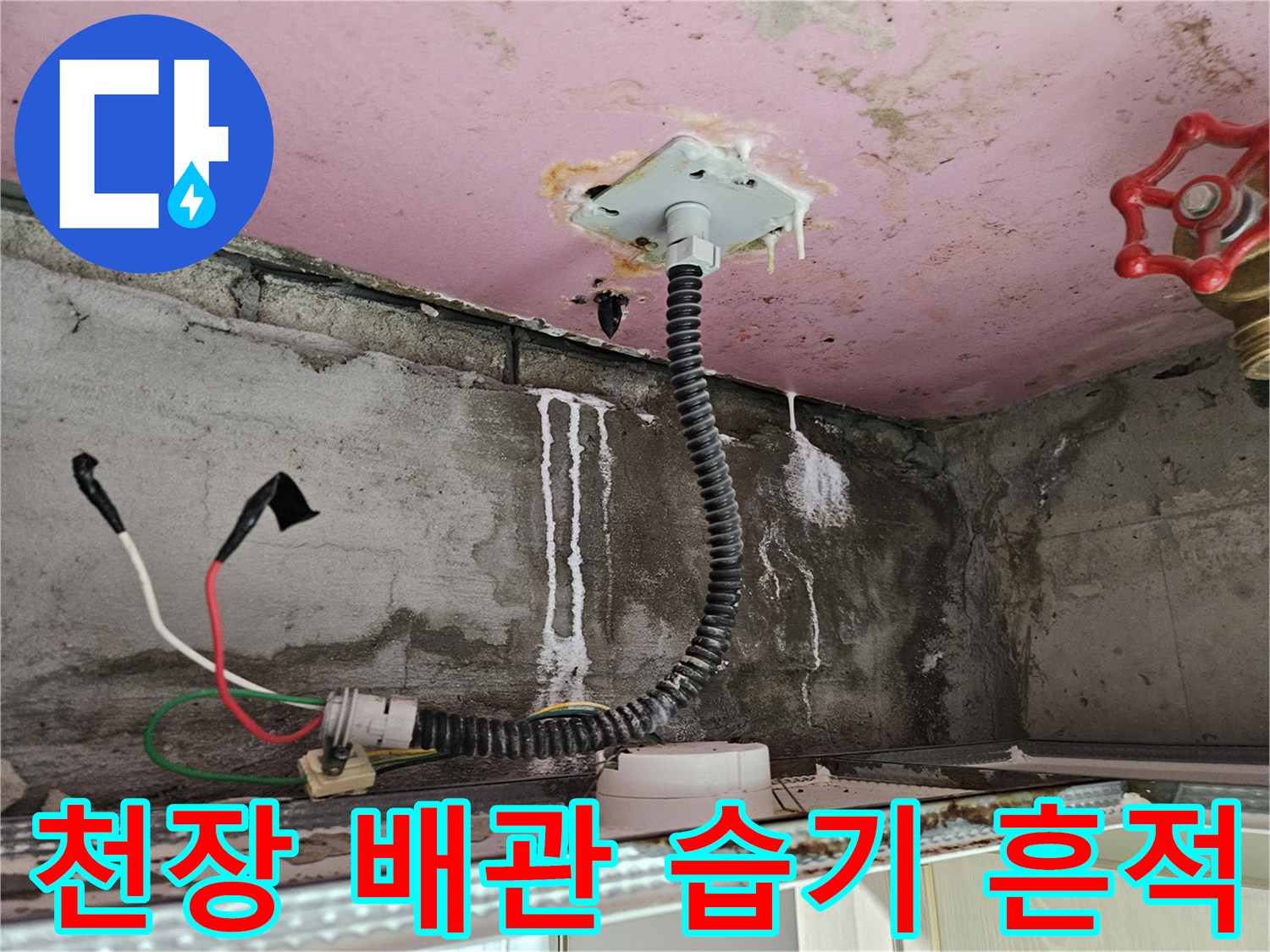 누수로 인해 하얗게 변한 천장 내부 벽면과 배관