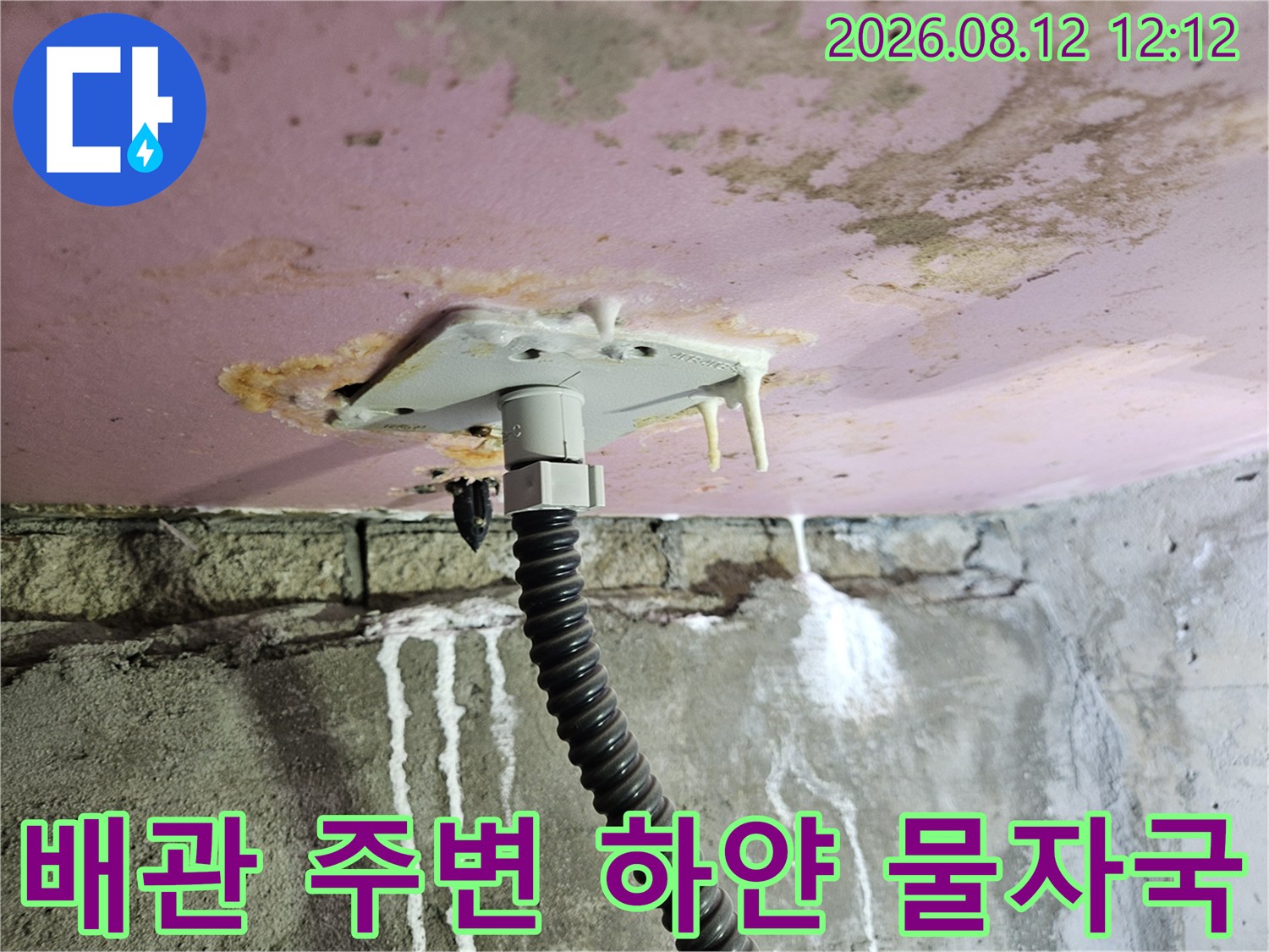 양주 옥정동 화장실-천장 배관 주변의 석회 침전물 현상