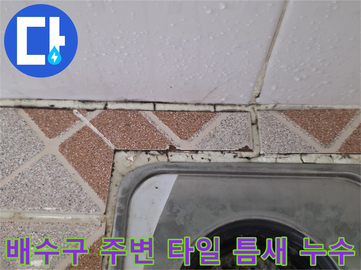 광명-철산동-욕실-배수구-유가-타일-틈새-누수-흔적