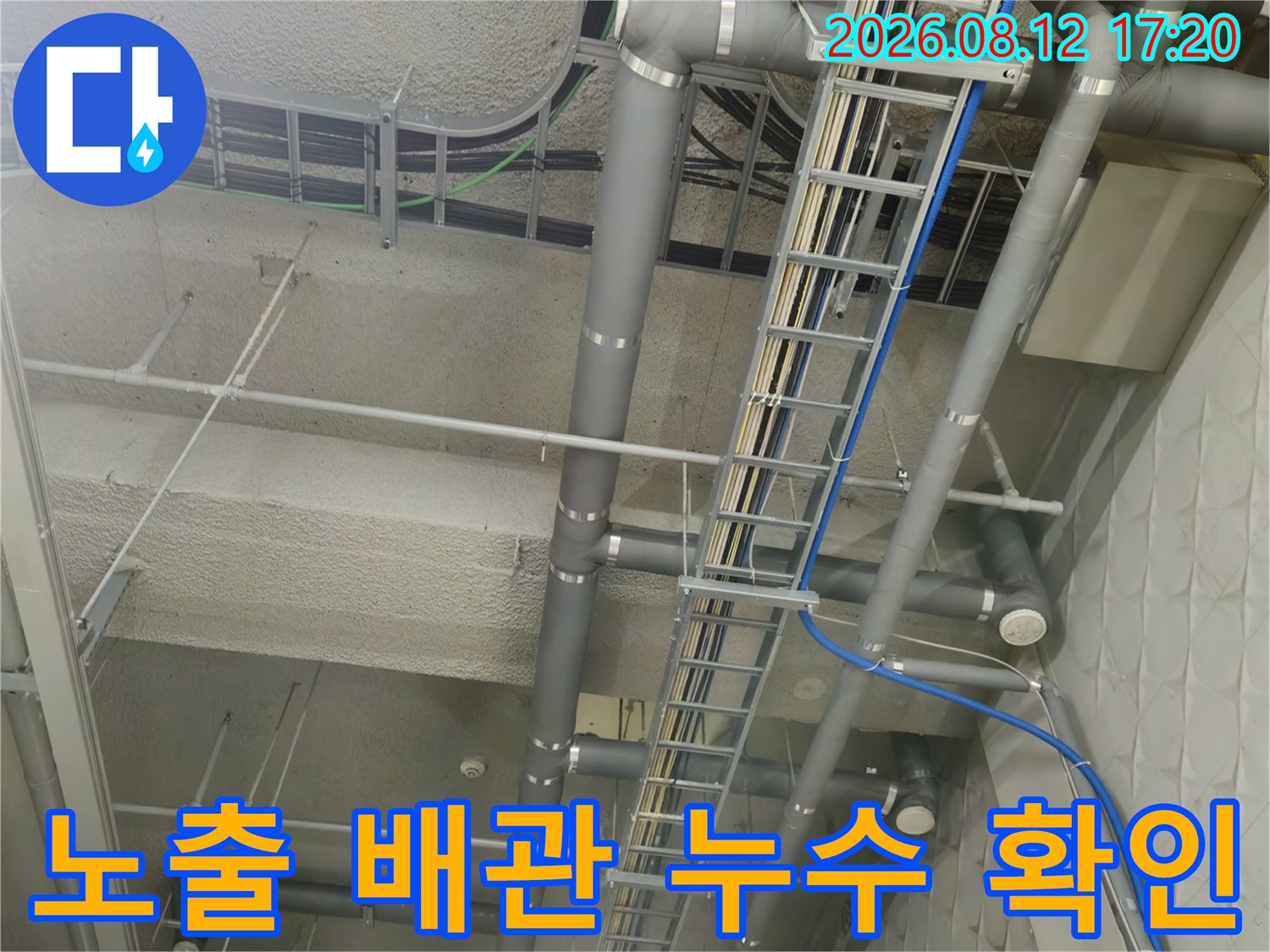 천장에 설치된 회색 PVC 배관과 파란색 호스 및 전기 트레이 모습
