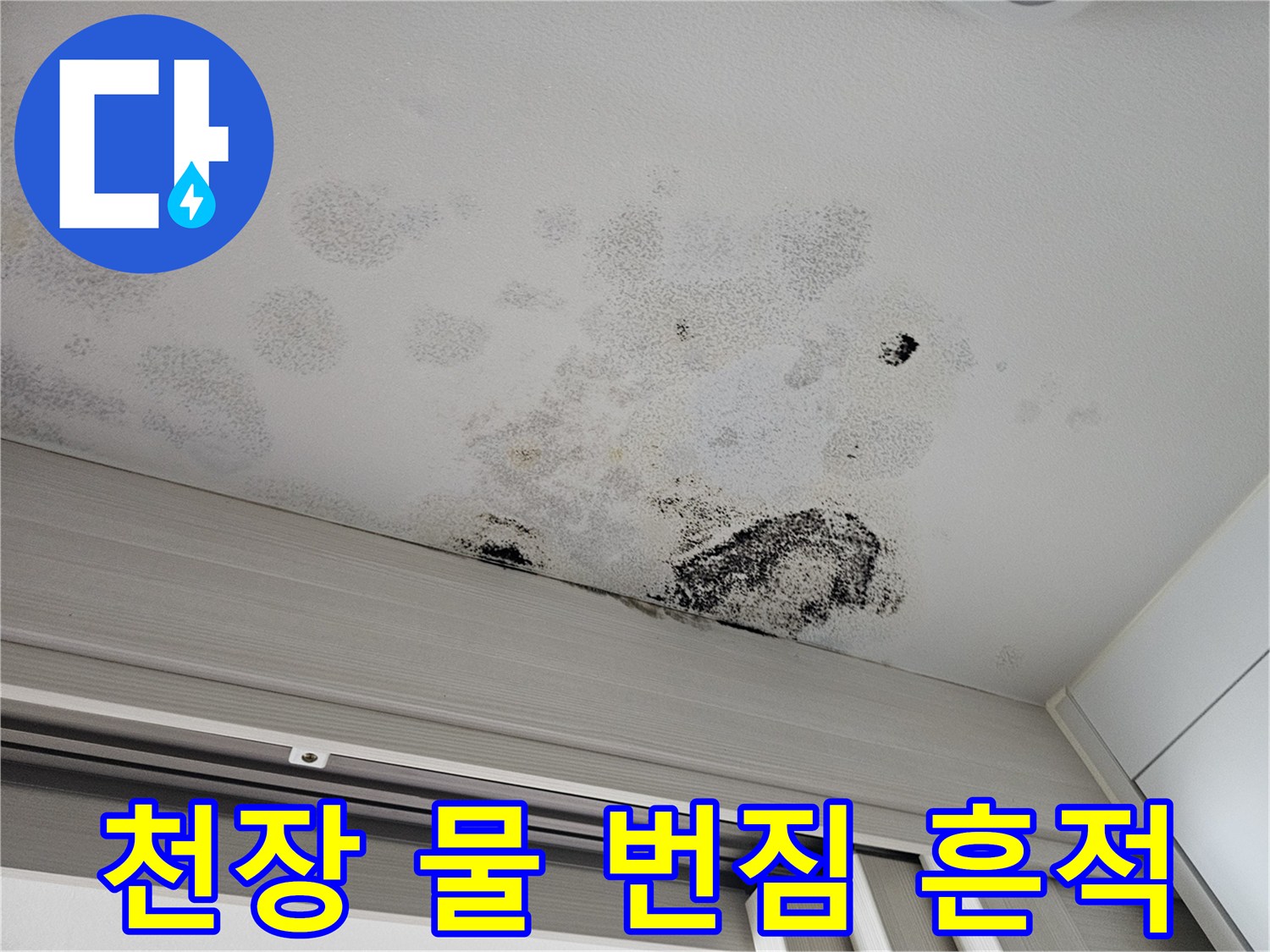 습기로 인해 검게 변색되고 곰팡이가 핀 천장 상태