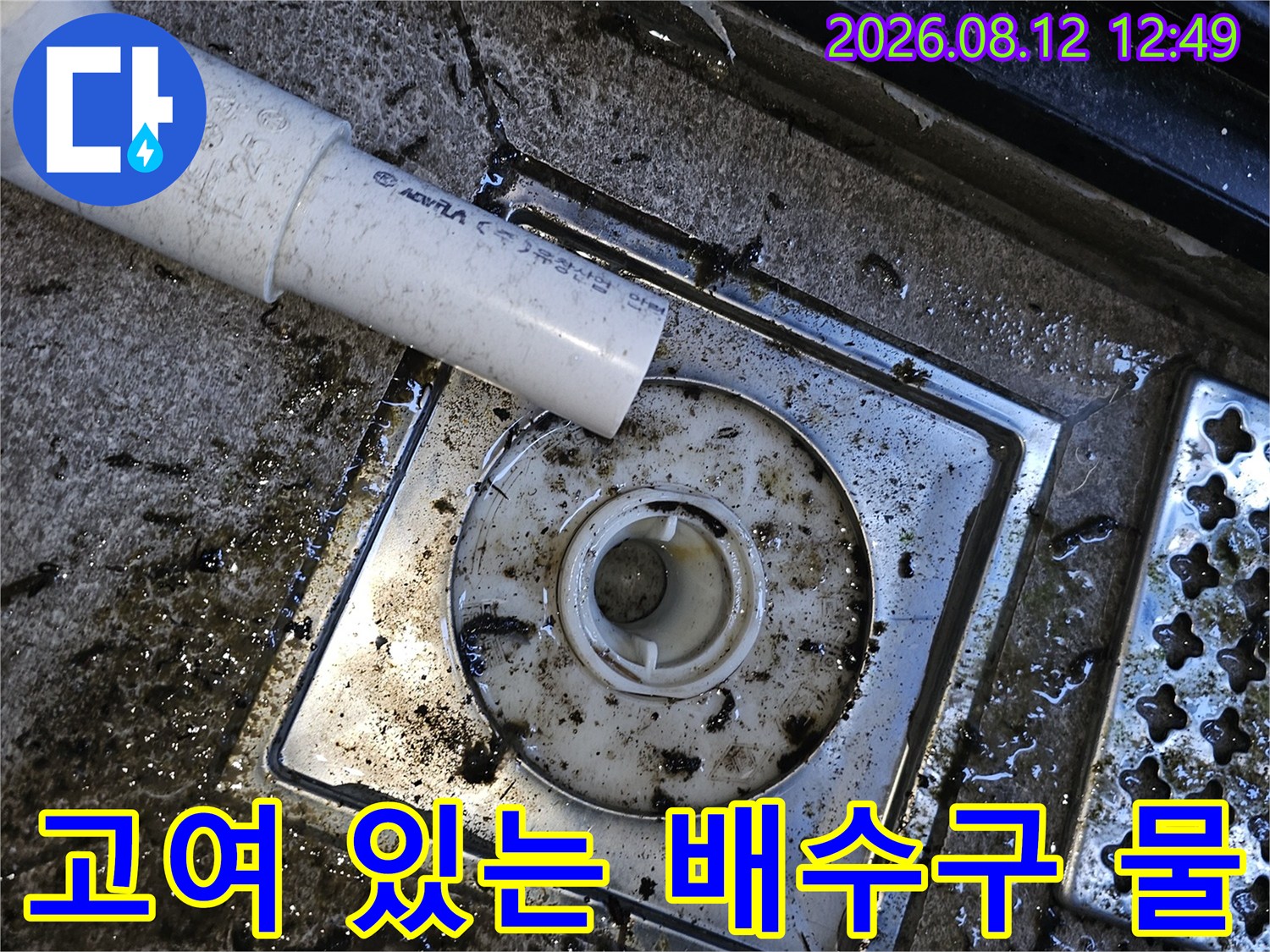 물과 이물질이 섞인 배수구 주변의 모습