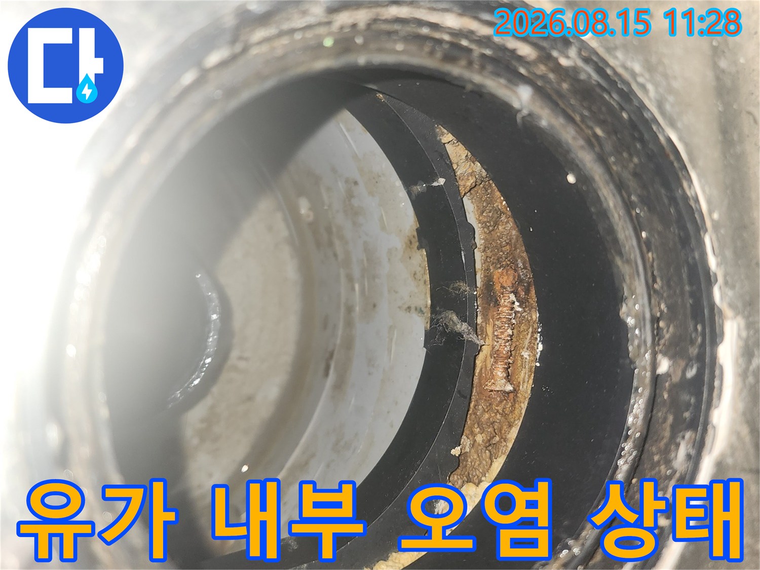 동탄 아파트 배수구 유가 안쪽의 이물질과 오염된 상태