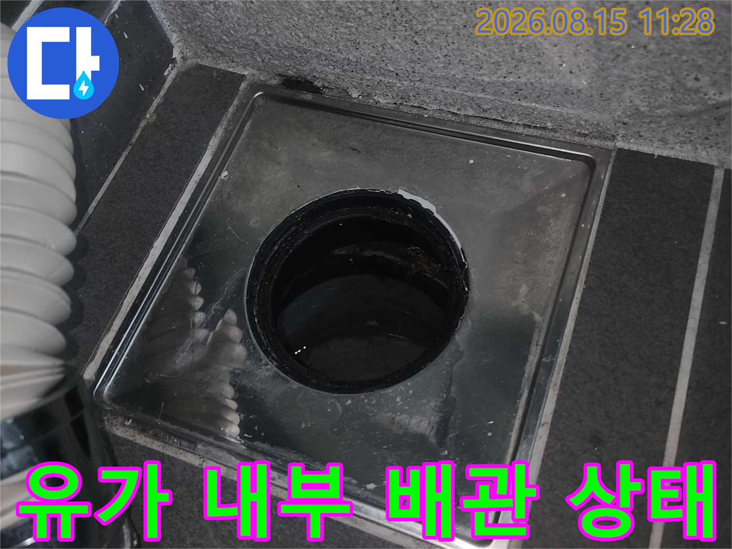 배수구 유가 안쪽의 오염된 배관 입구를 촬영한 사진입니다.