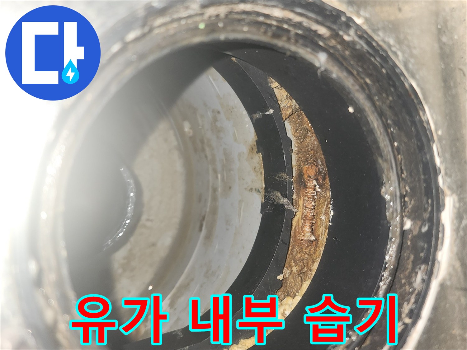 세탁실-배수구-안쪽-방수층-손상-부위
