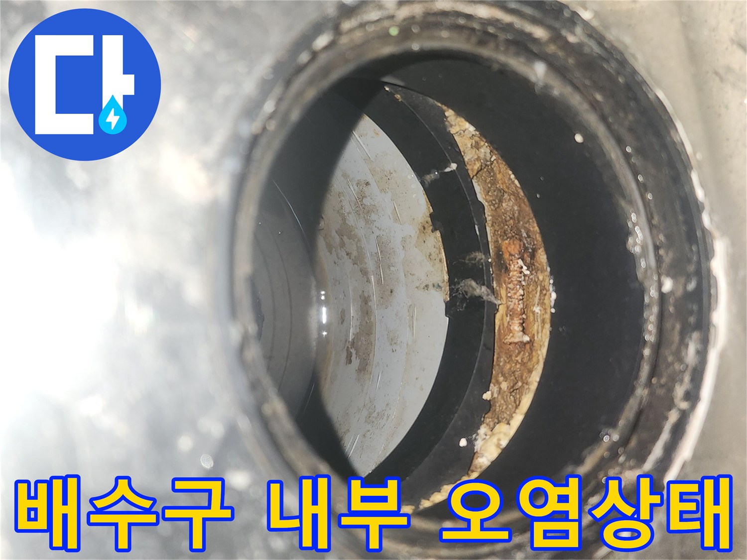 세탁실-배수구-유가-안쪽-방수층-오염-상태