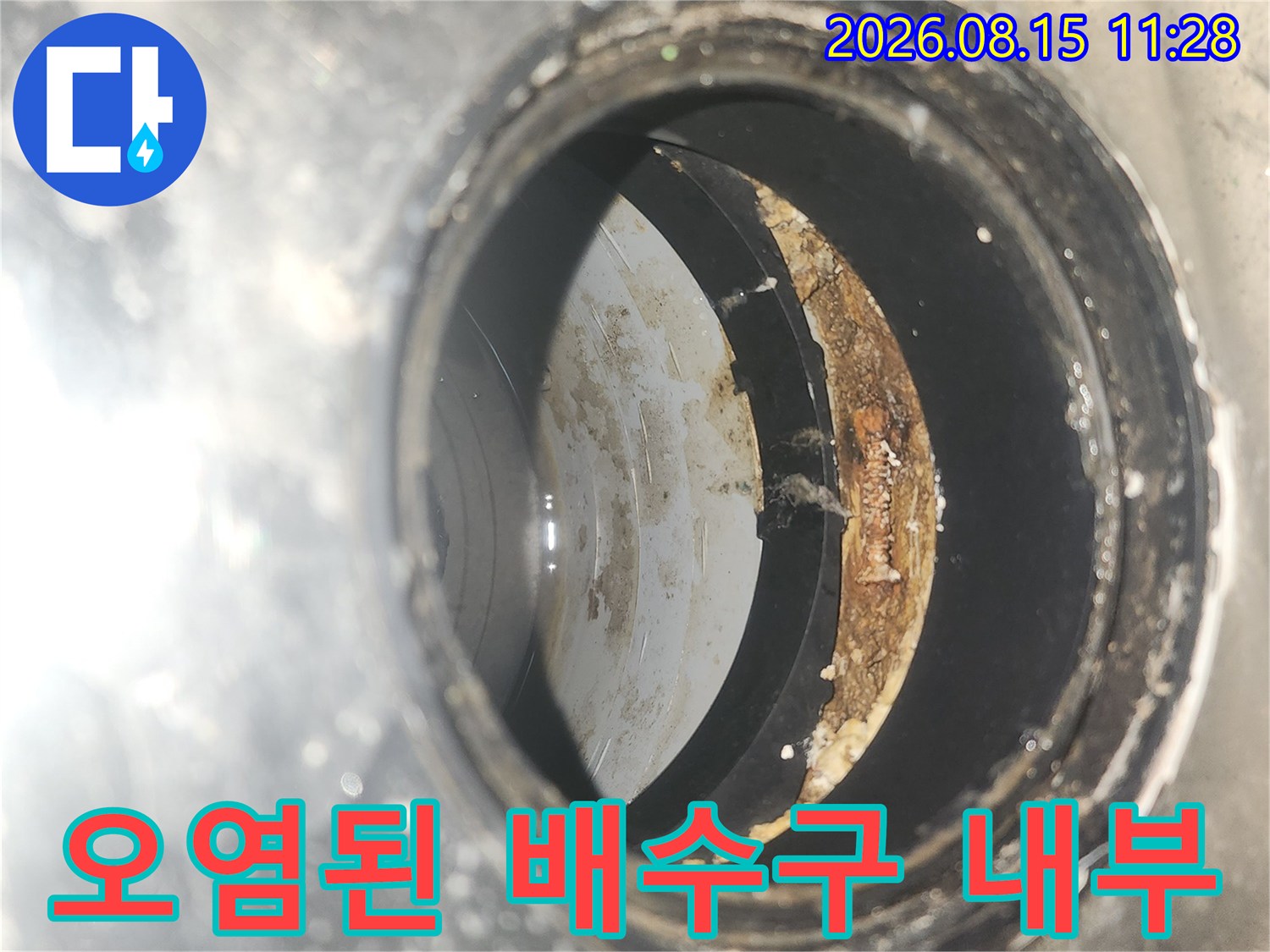 세탁실 배수구 유가 안쪽에 쌓인 오염물과 누수 흔적